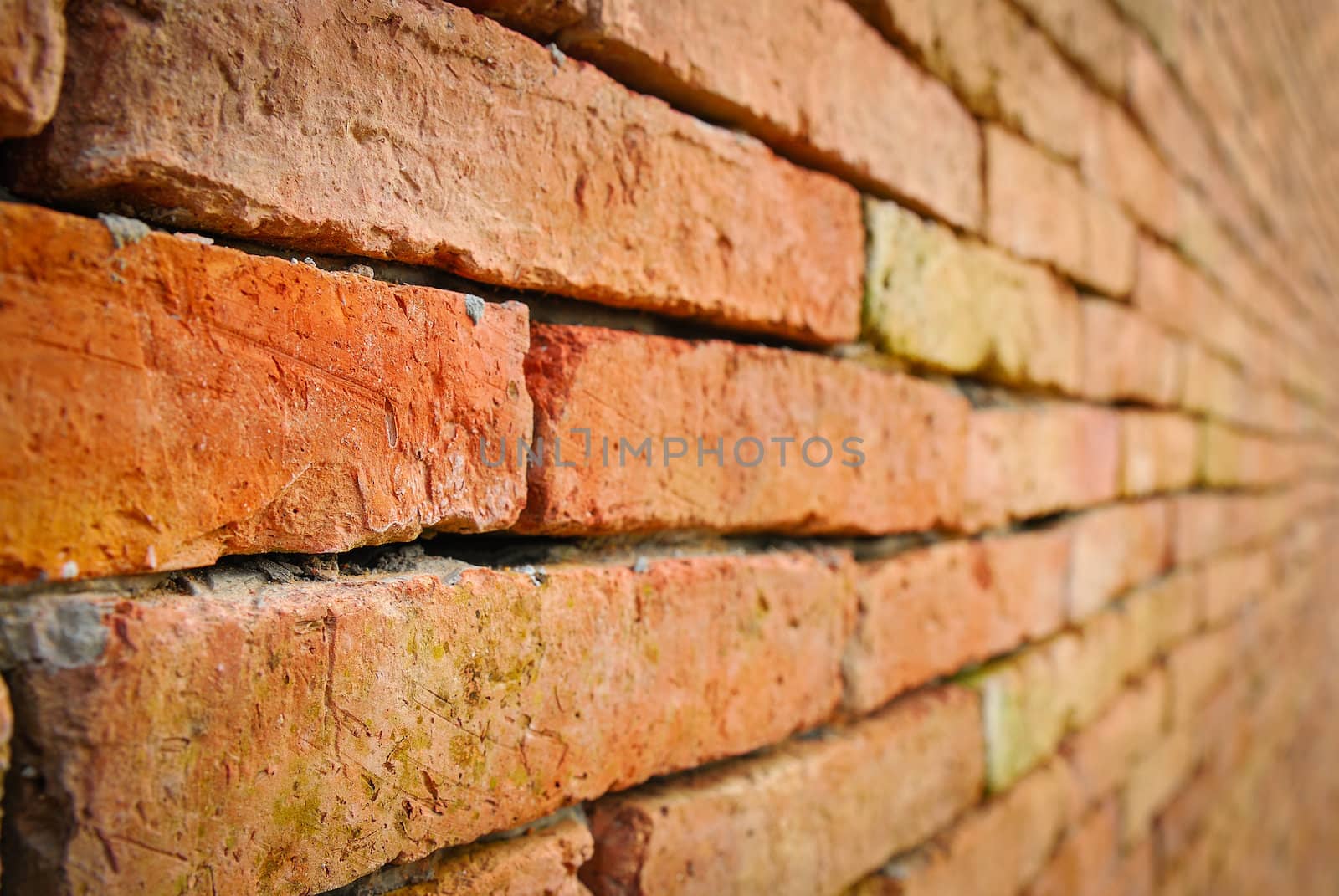 Background of brick wall texture