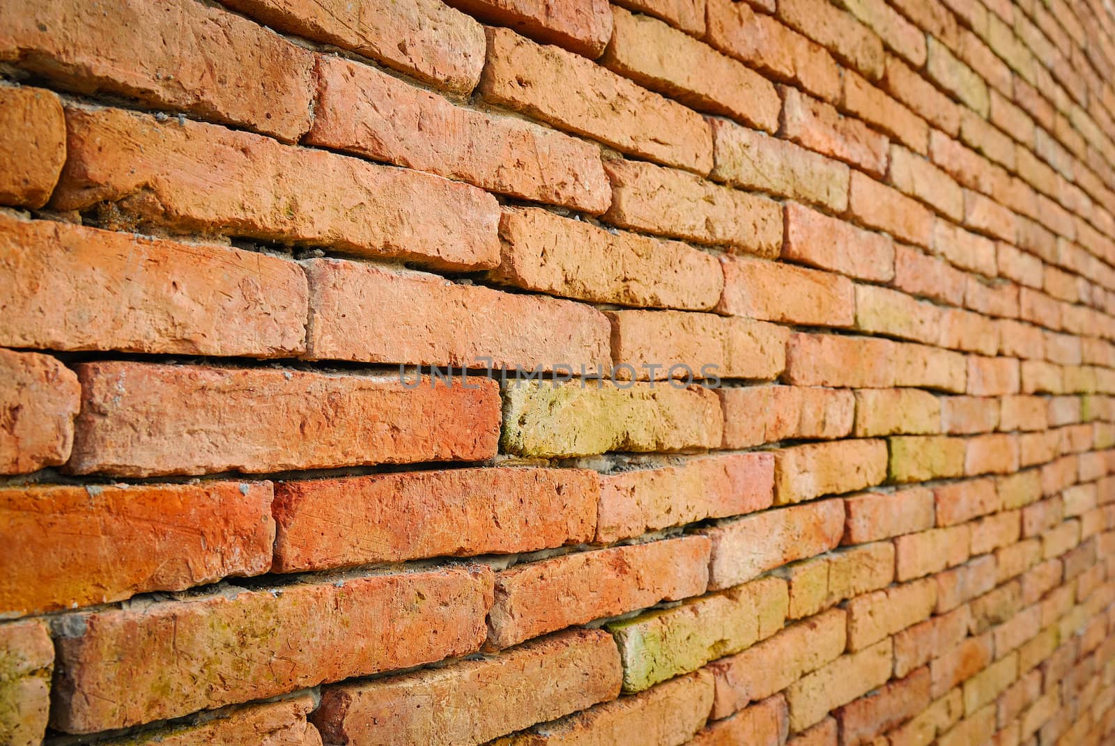 Background of brick wall texture