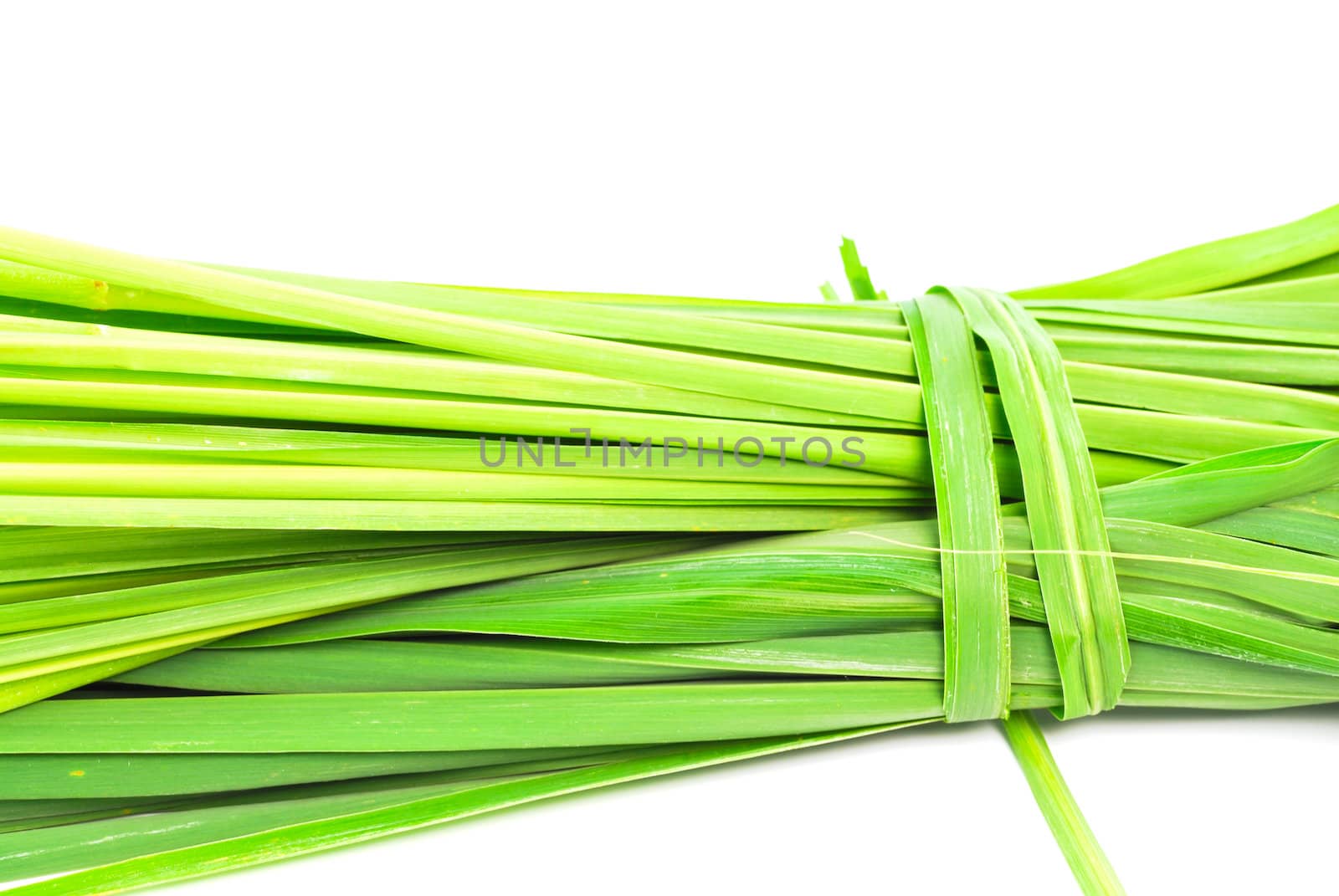 Lemon grass leaf