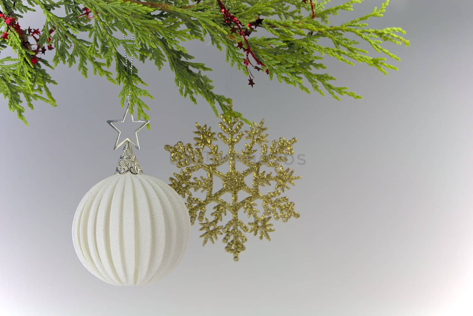 Christmas Decoration Hanging From a Tree on White Background