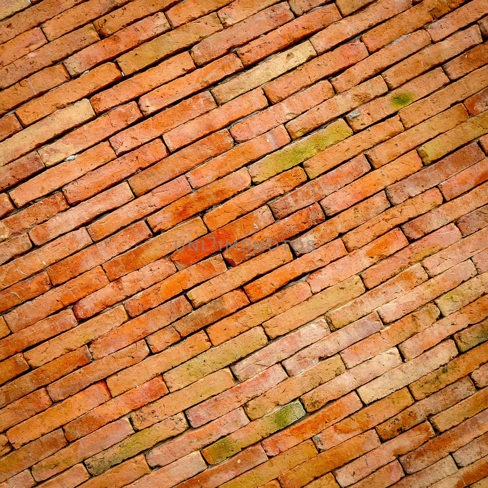 Background of brick wall texture