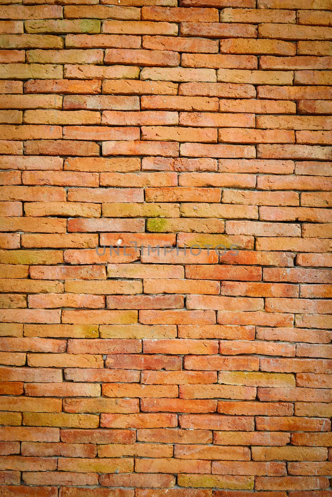 Background of brick wall texture