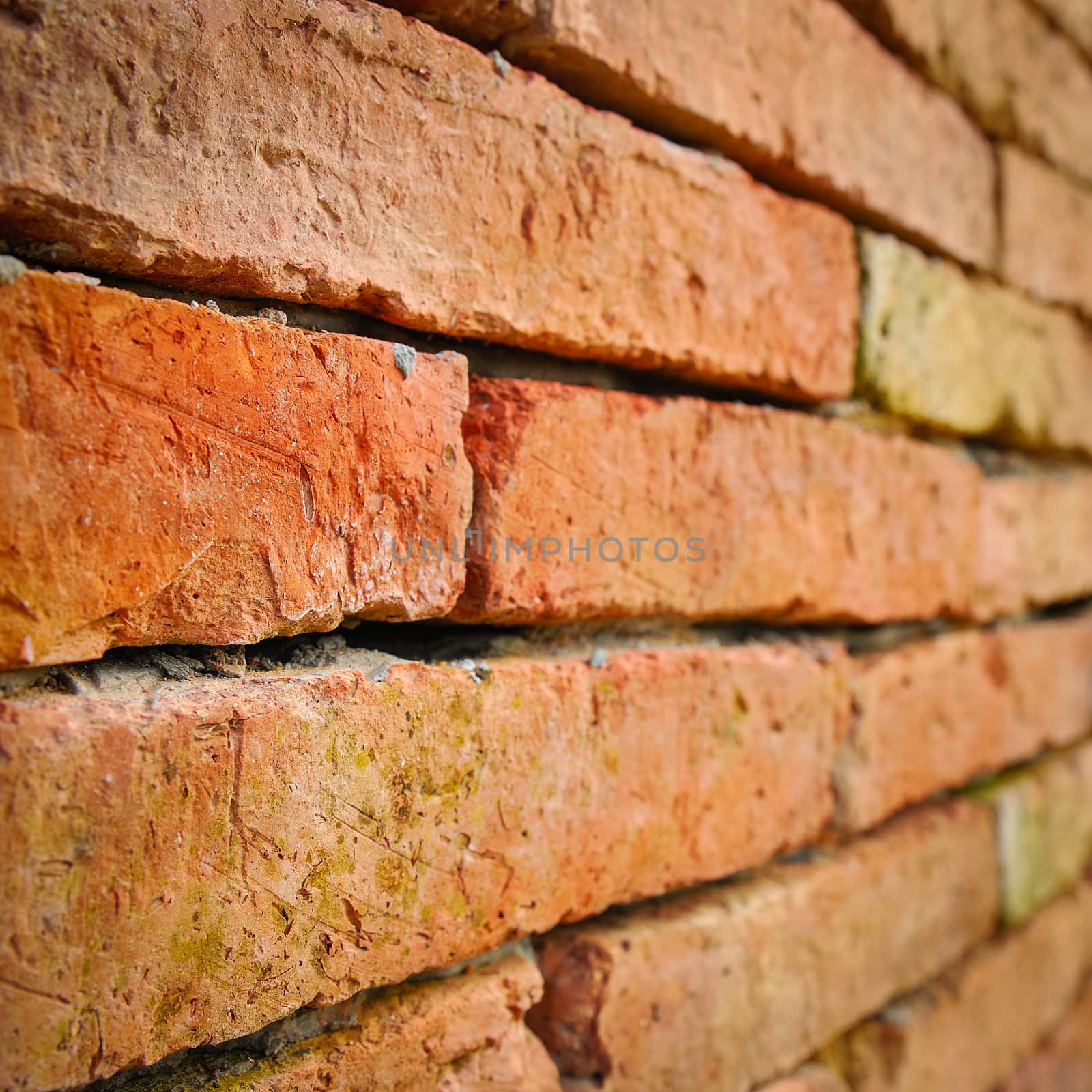 Background of brick wall texture