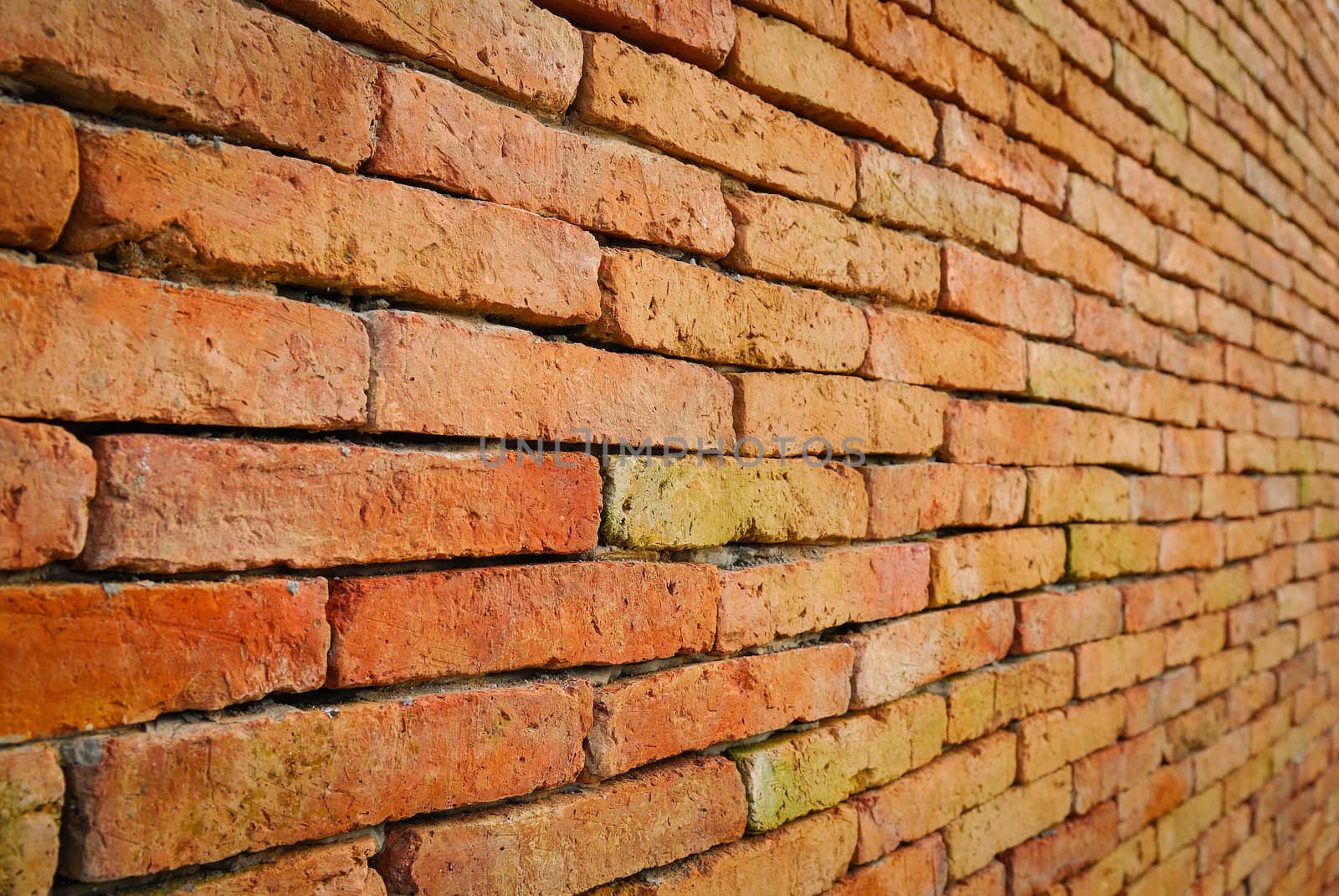 Background of brick wall texture