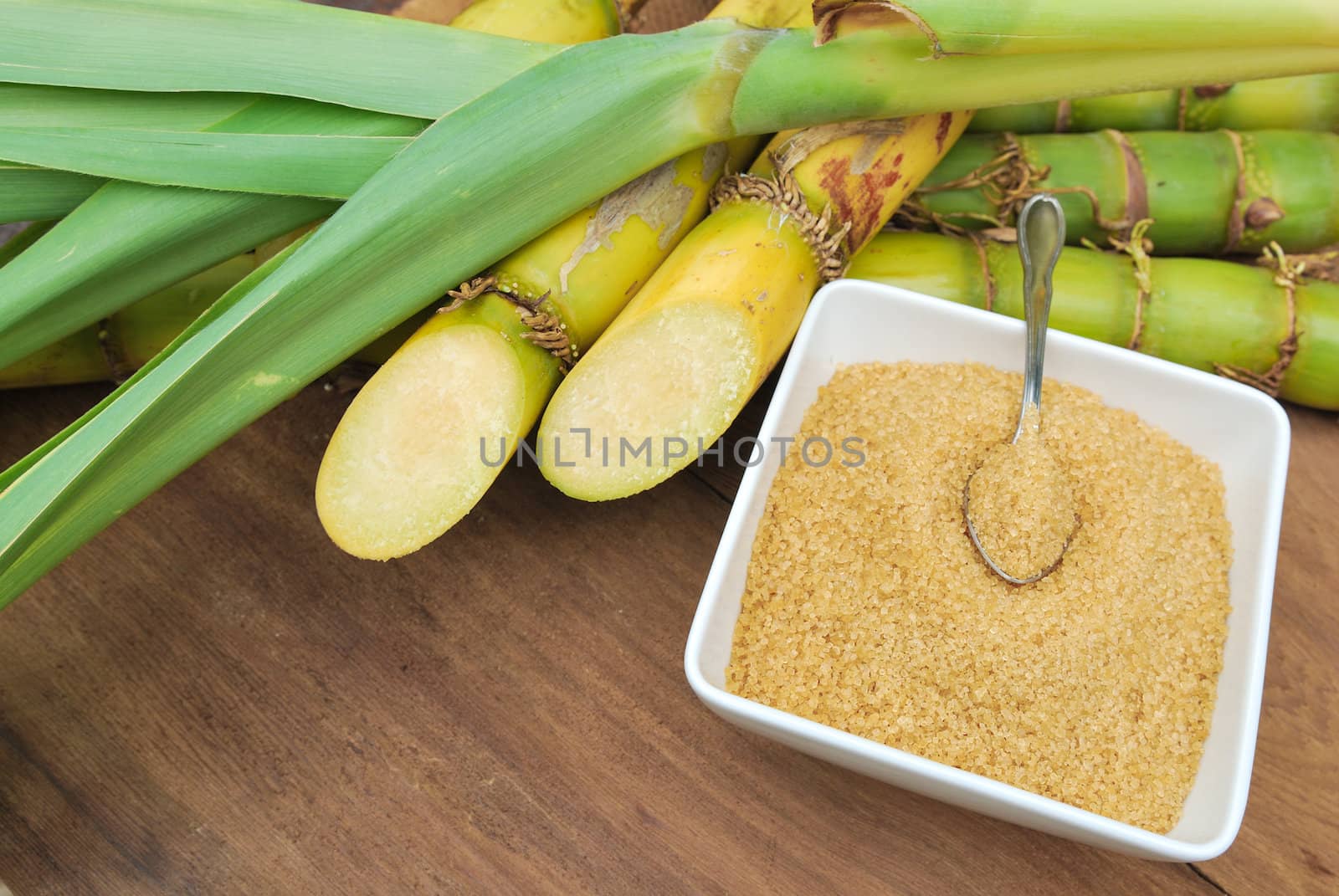 Close up Sugar and sugarcane