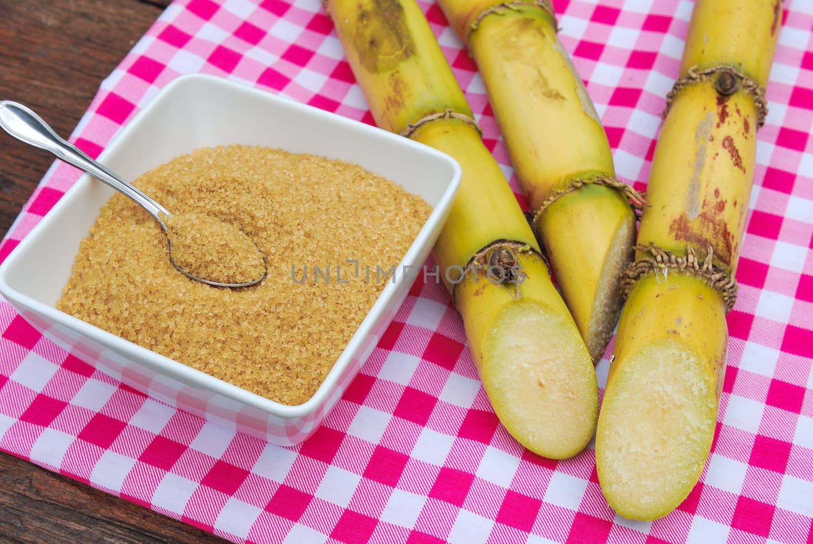 Close up Sugar and sugarcane