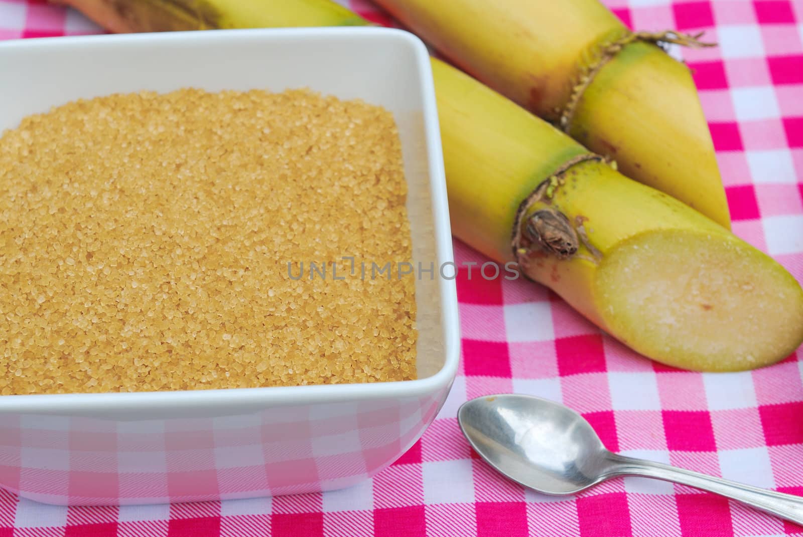 Close up Sugar and sugarcane