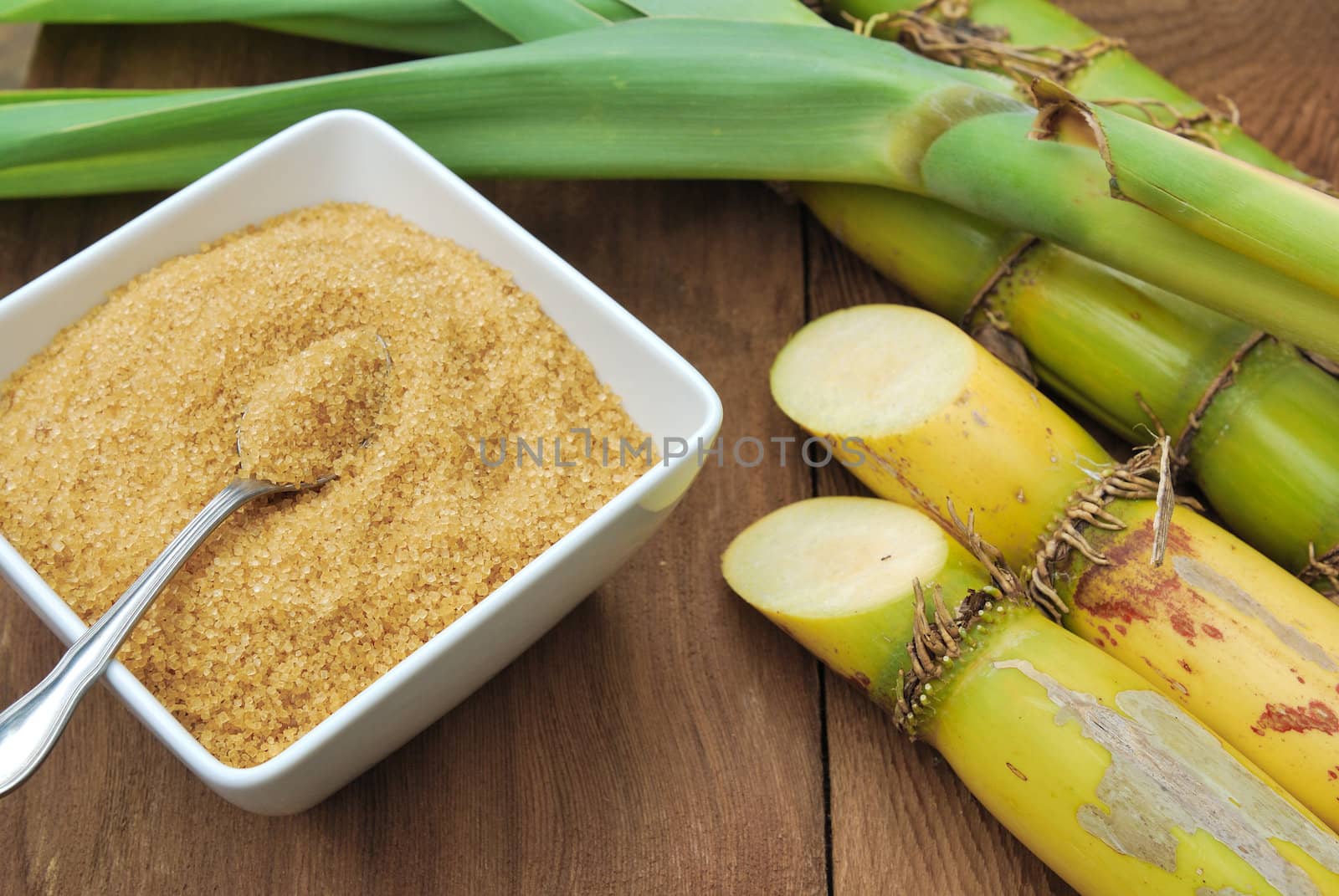 Close up Sugar and sugarcane
