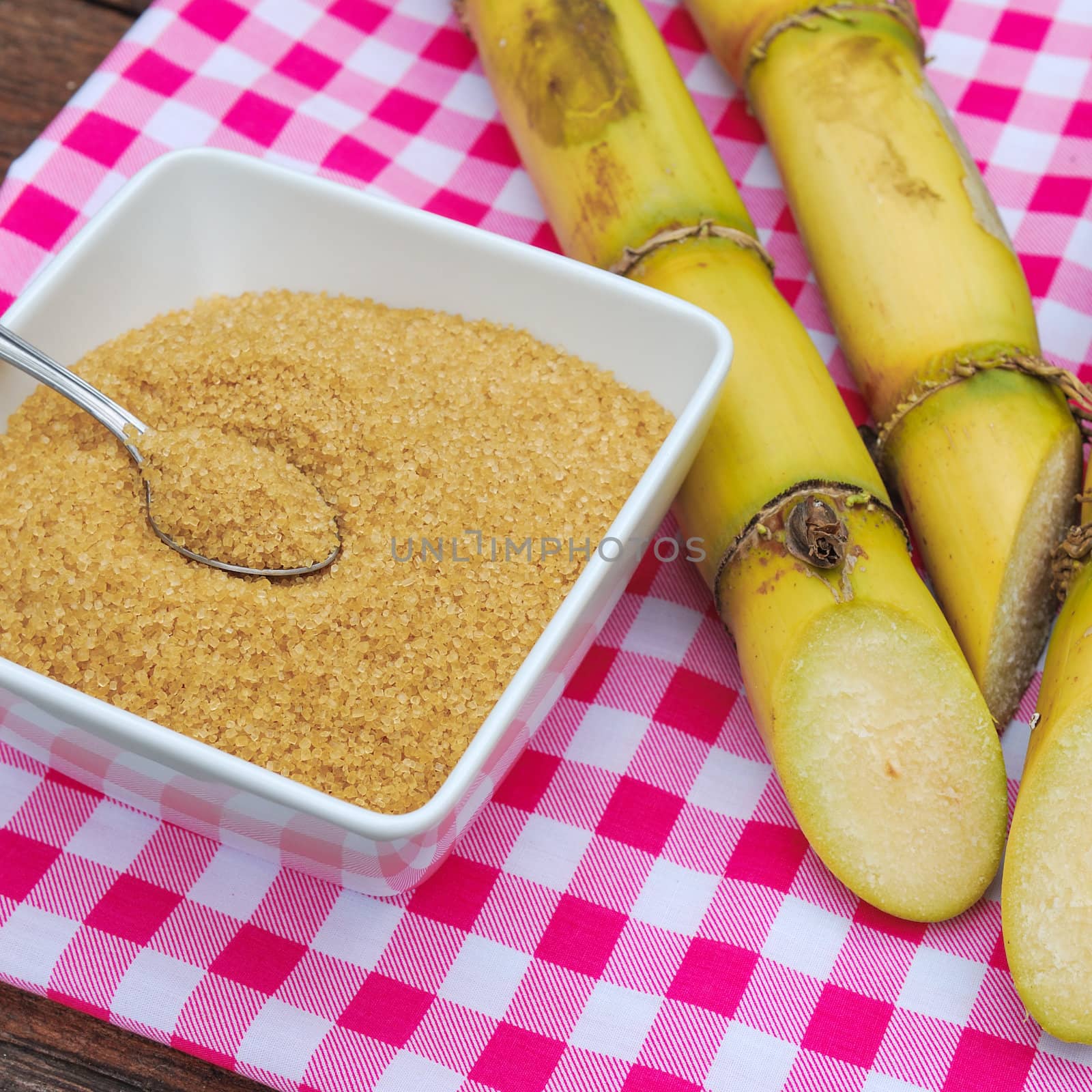 Close up Sugar and sugarcane