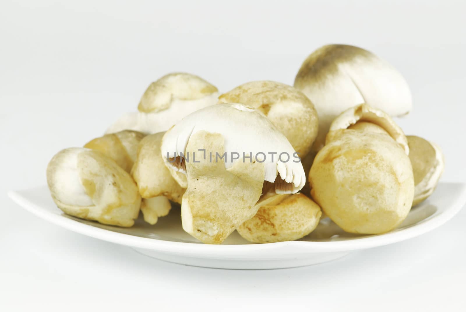 Straw mushroom  on white background