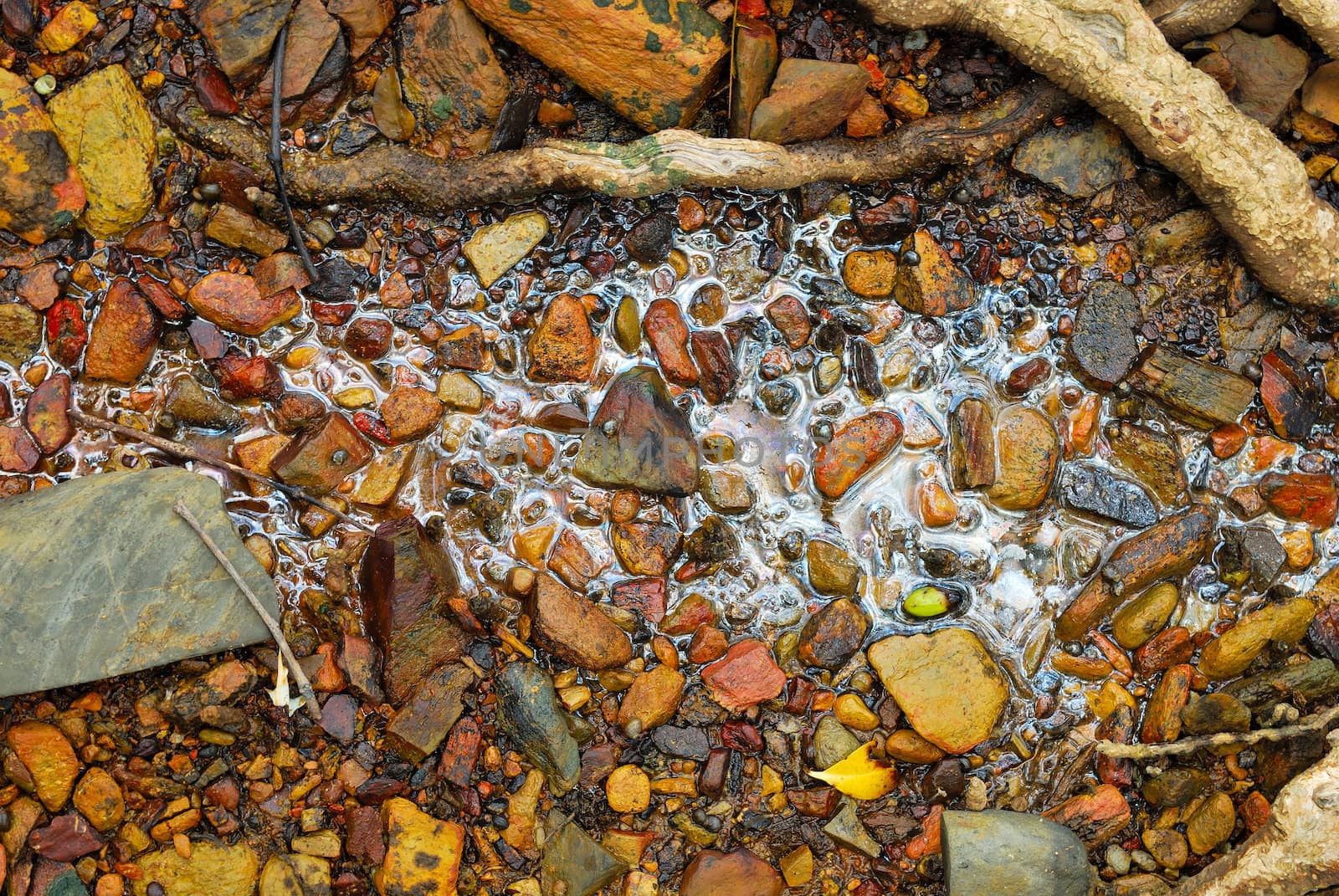 Rainbow reflection of crude oil spill on the stone at the beach