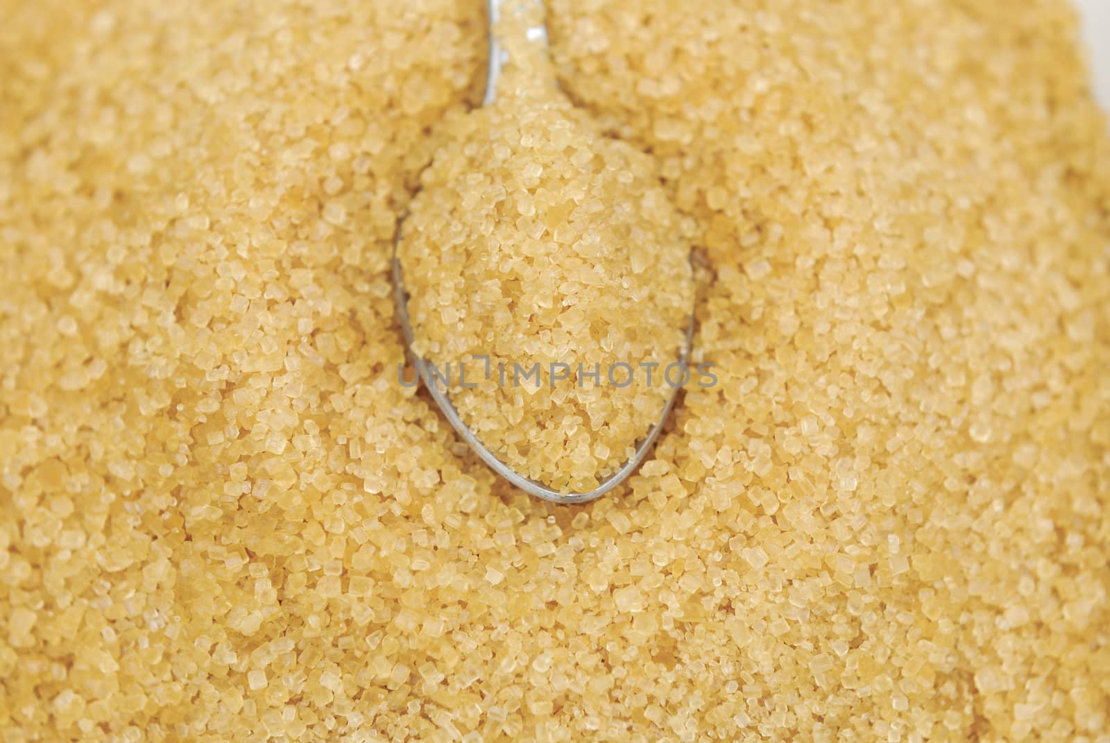 Close up Sugar and sugarcane