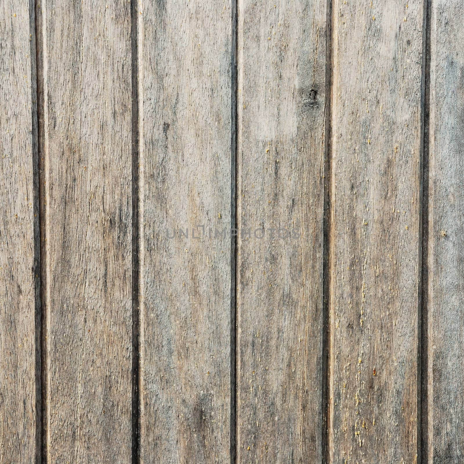 Wood plank brown and green texture background vintage