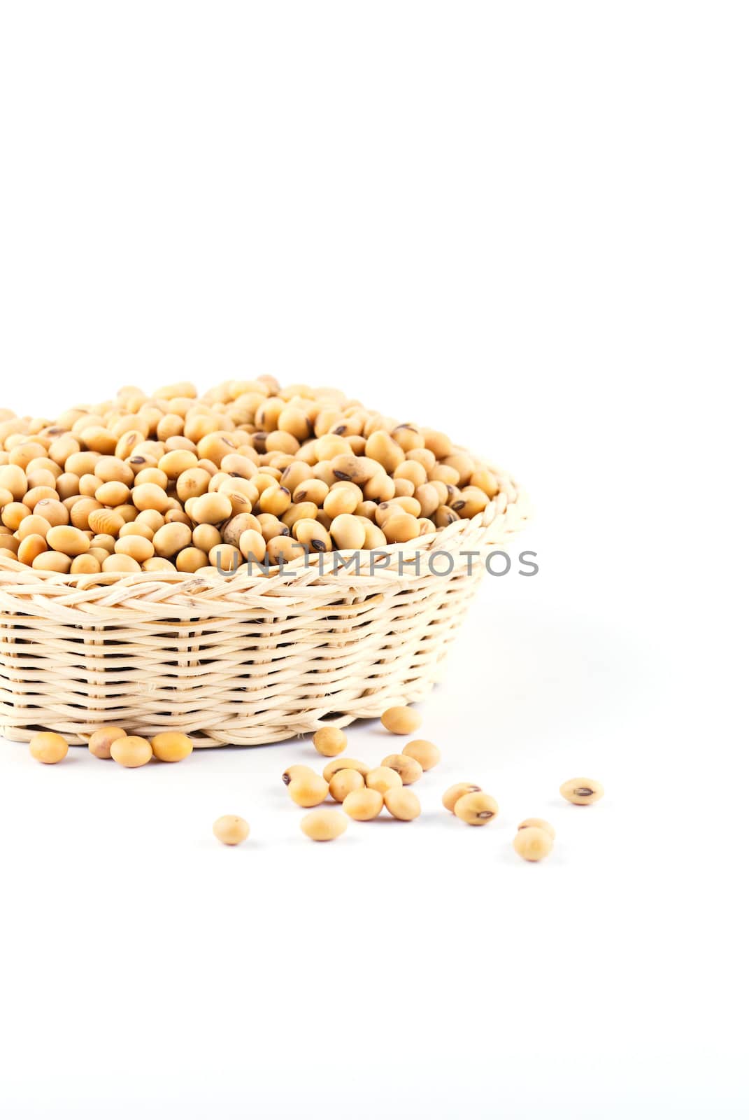 soybean by teen00000