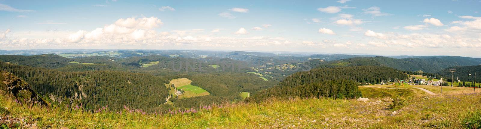 Panorama landscape view over black forest Germany by Havana