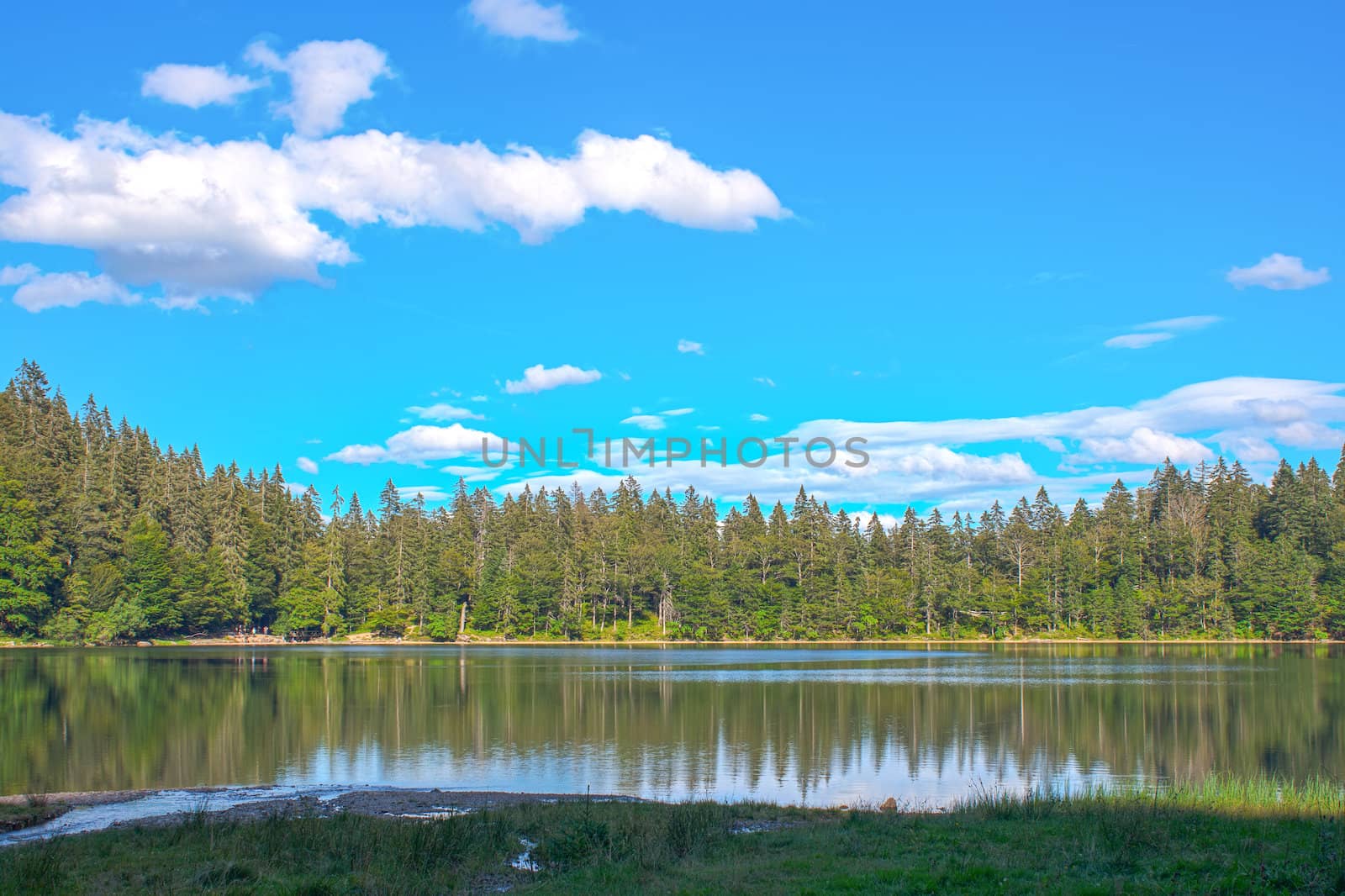 Panorama landscape view over lake and pine tree and clouds black forest Germany