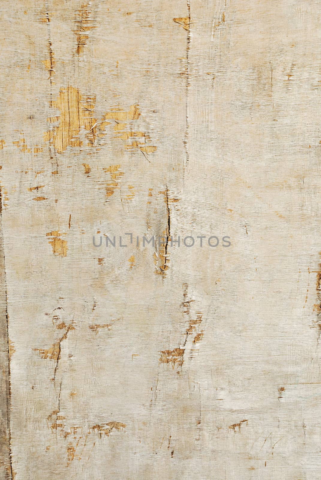 Wood plank brown and green texture background vintage by teen00000