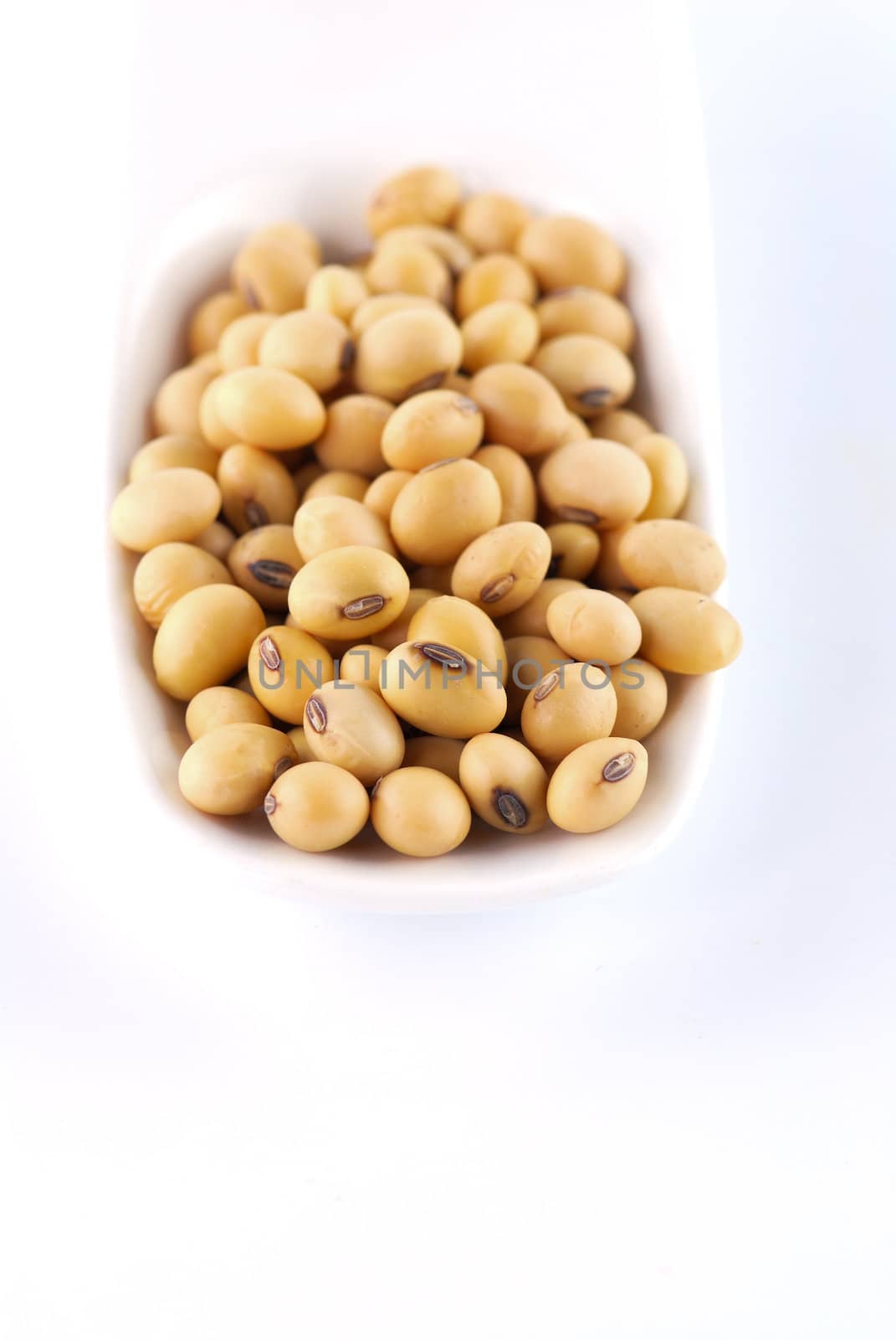 soybean by teen00000