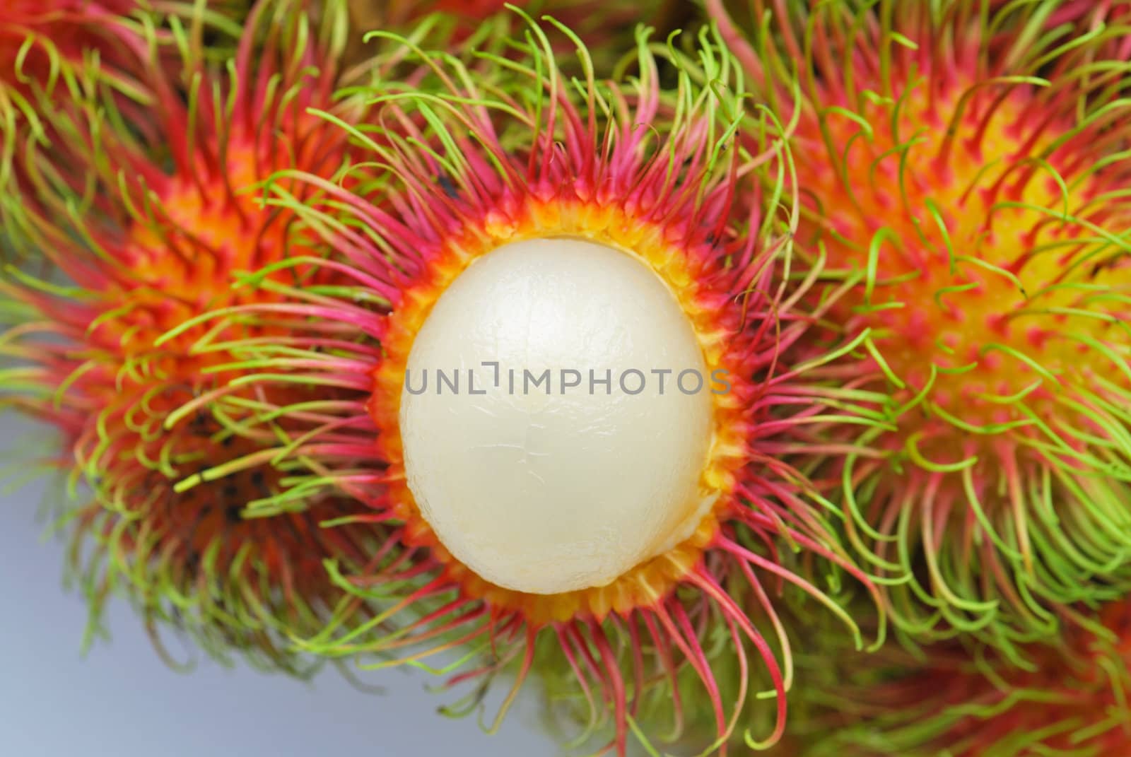 Fresh rambutan