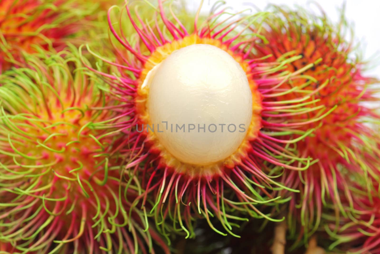 Fresh rambutan