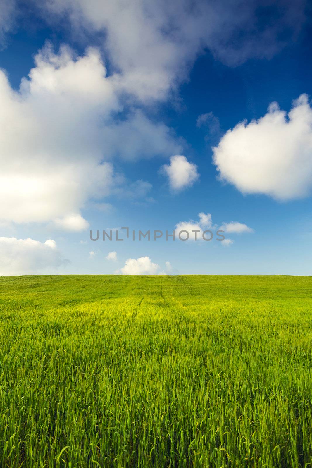 Beautiful landscape with an amazing blue sky and white clouds