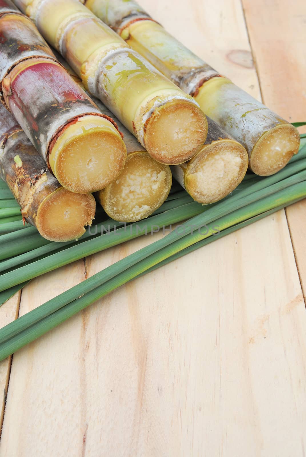 Close up brown sugar and sugarcane