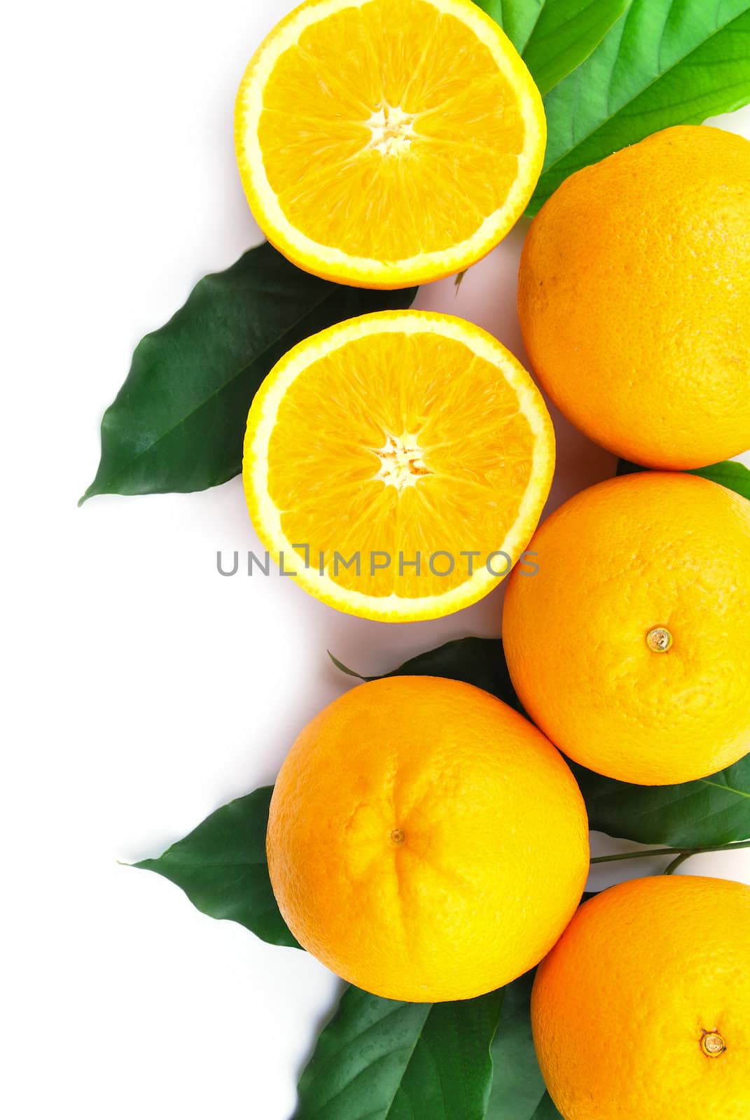 Orange fruit by teen00000