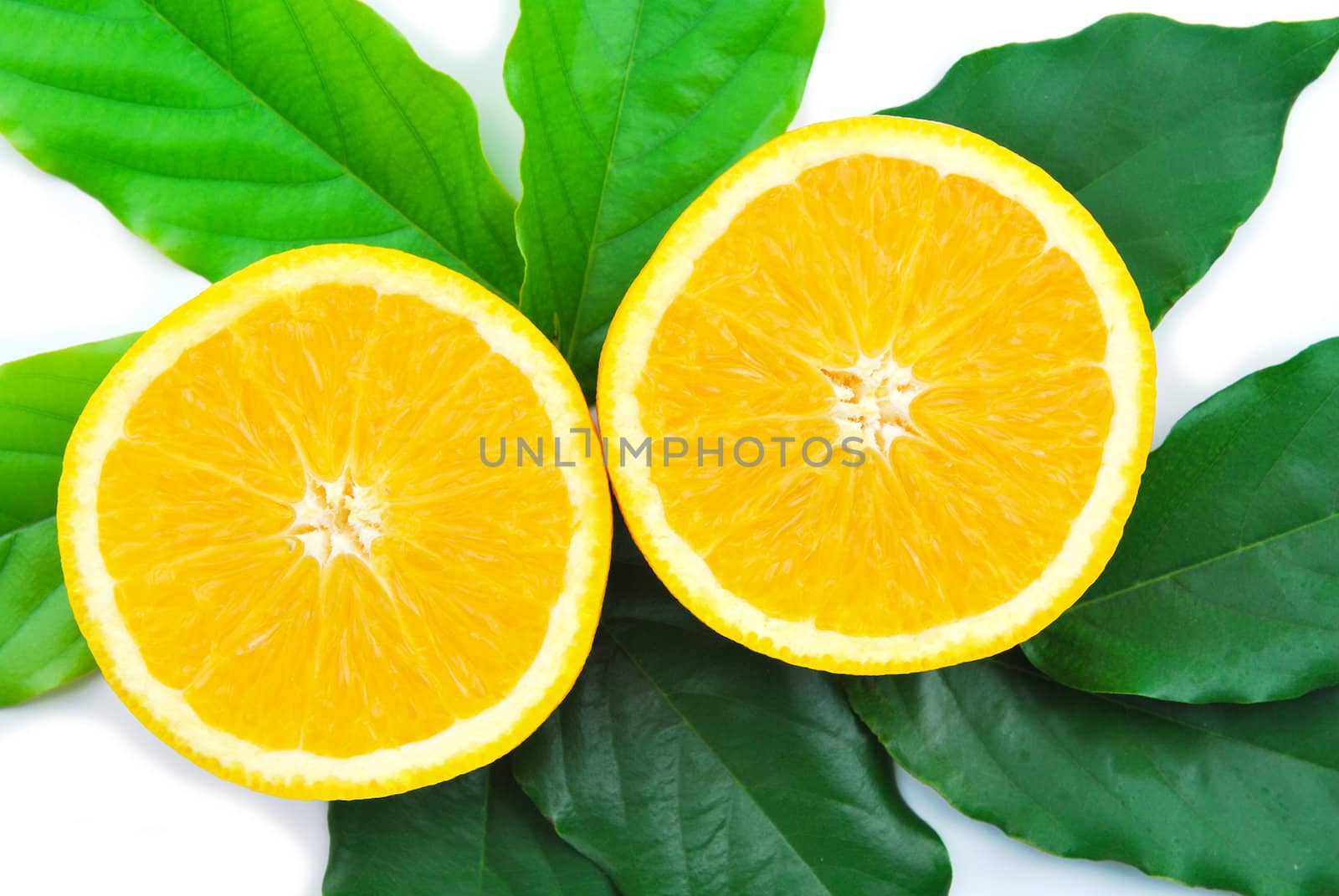 Orange fruit