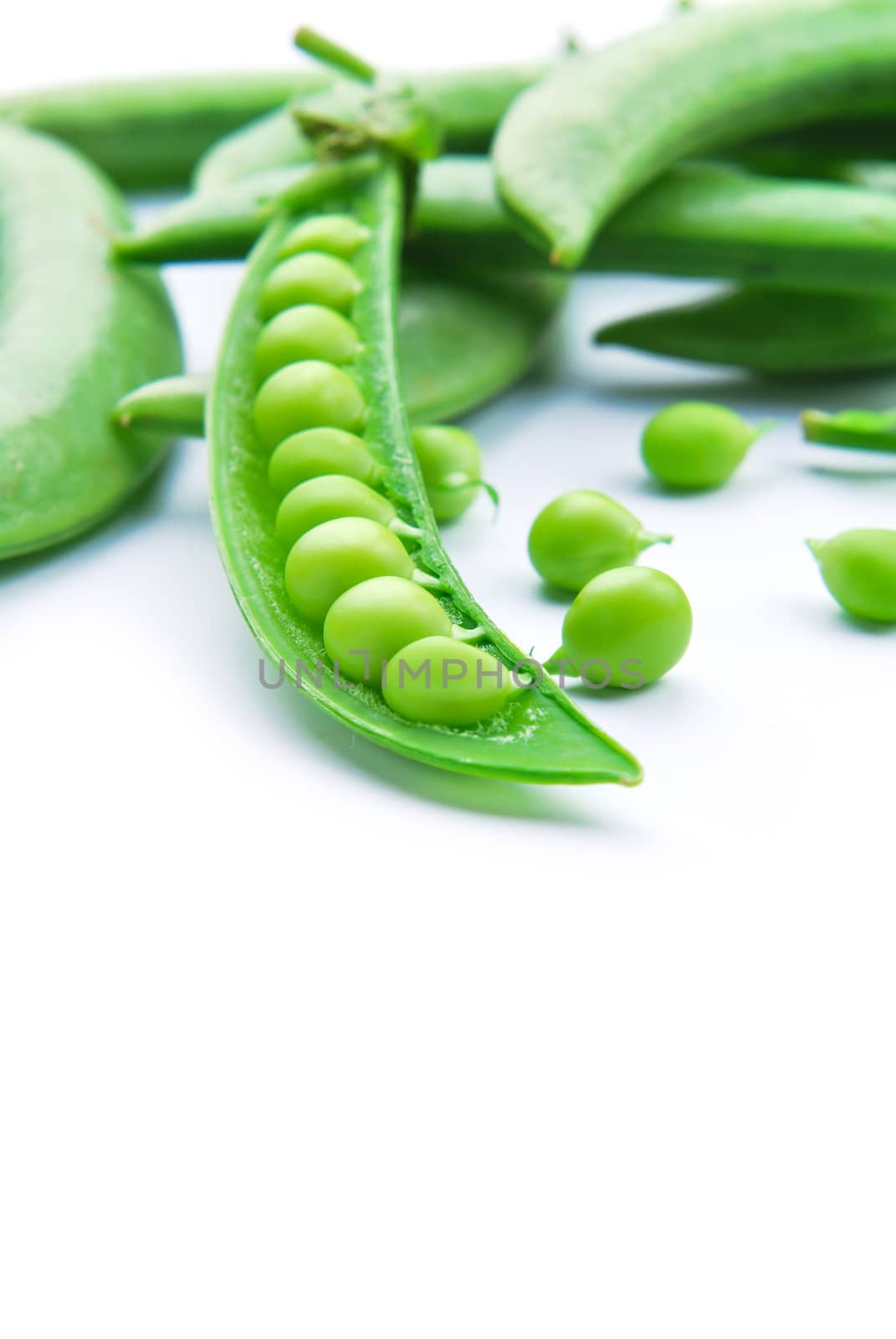 Fresh green pea pod