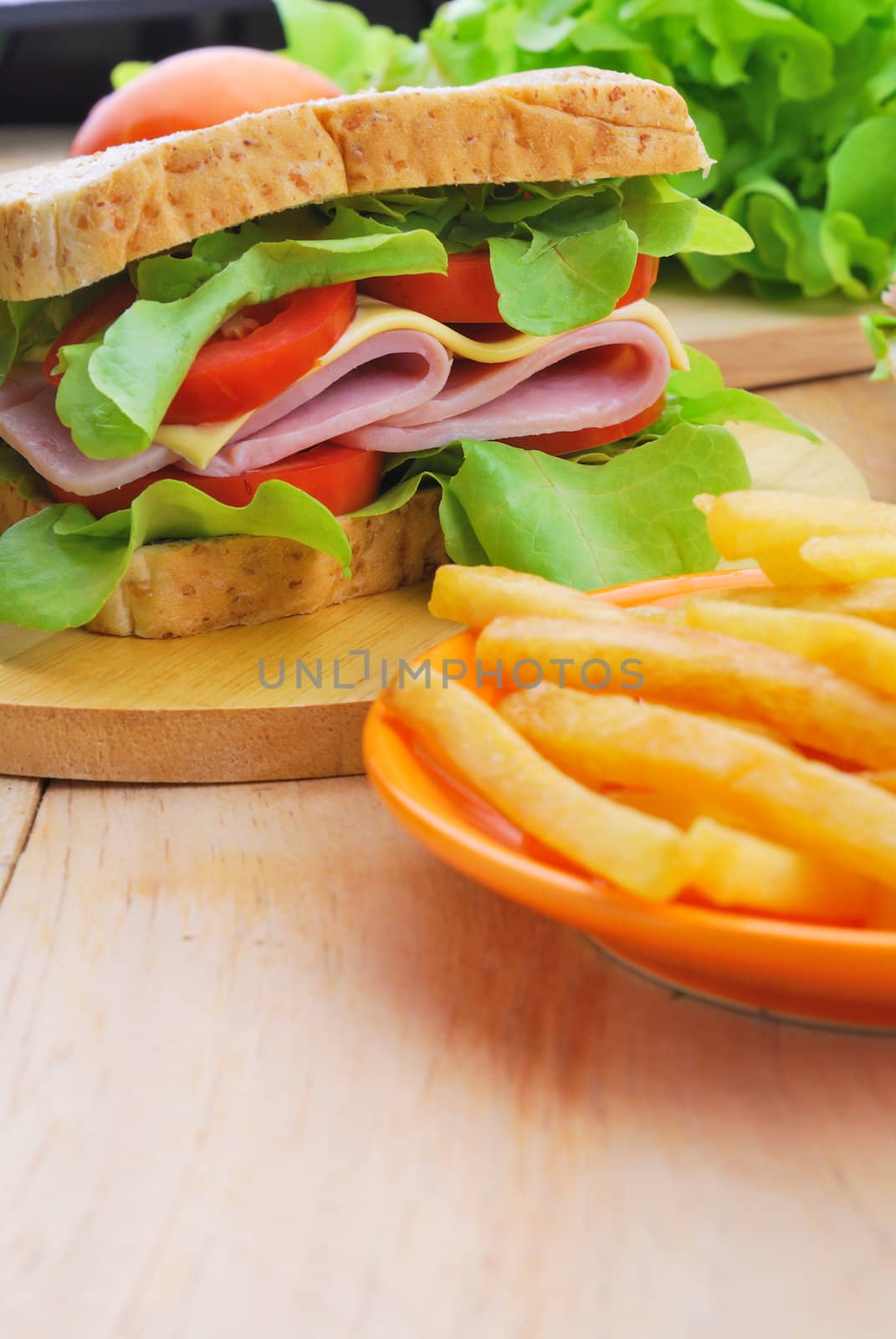 Club Sandwich with Cheese, Pickled Cucumber, Tomato and ham. Garnished with French Fries