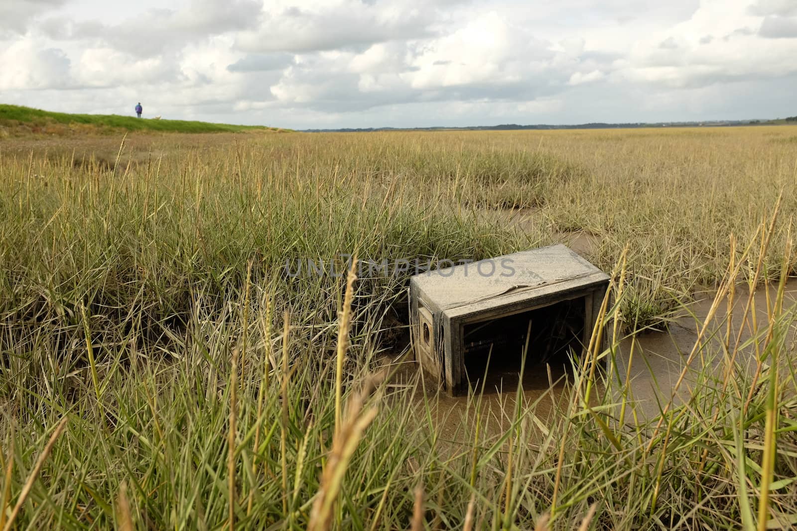 An old television set lays on mud among grass on a marsh with the figure of a man on a grass bank in the distance.