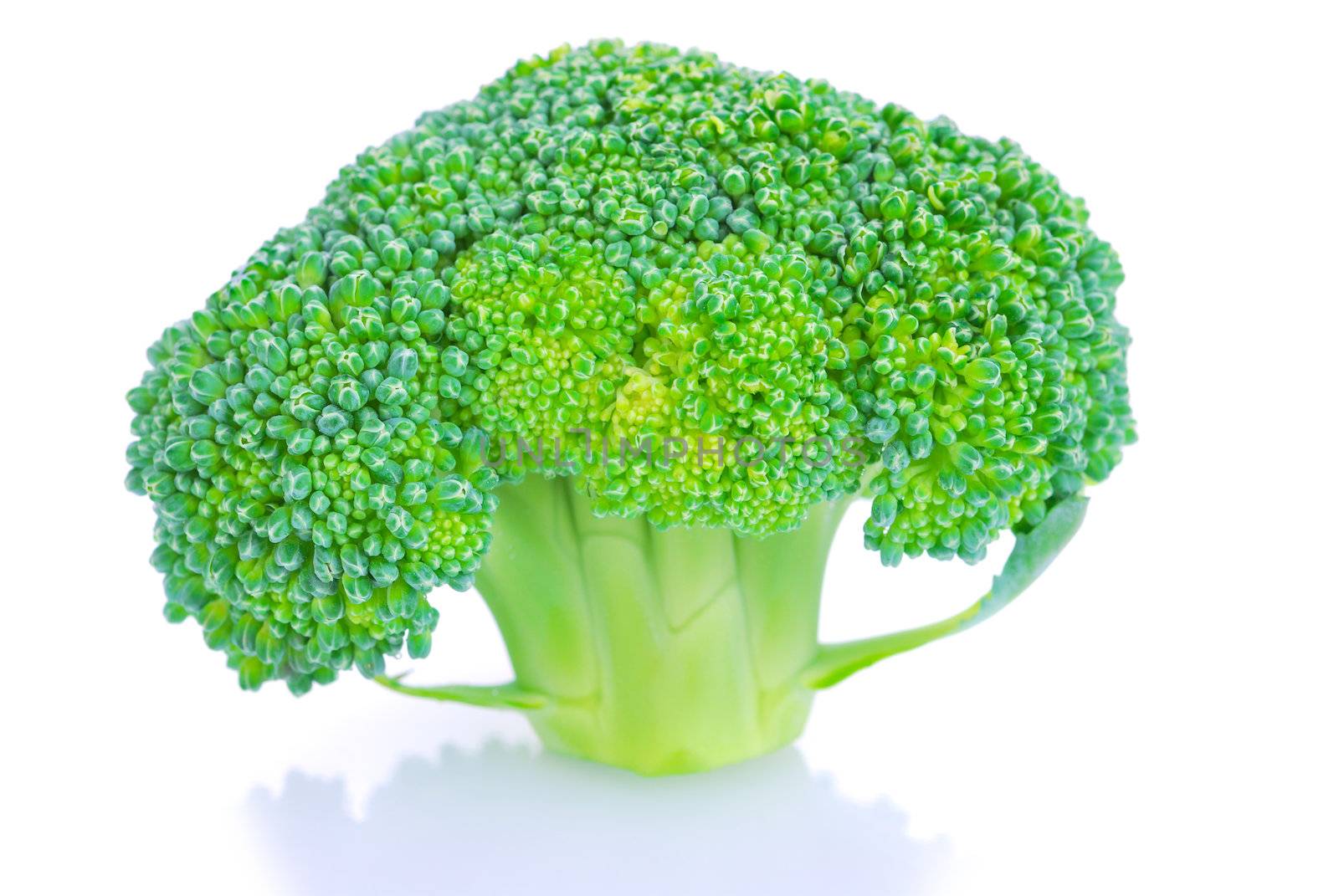 Broccoli vegetable by teen00000