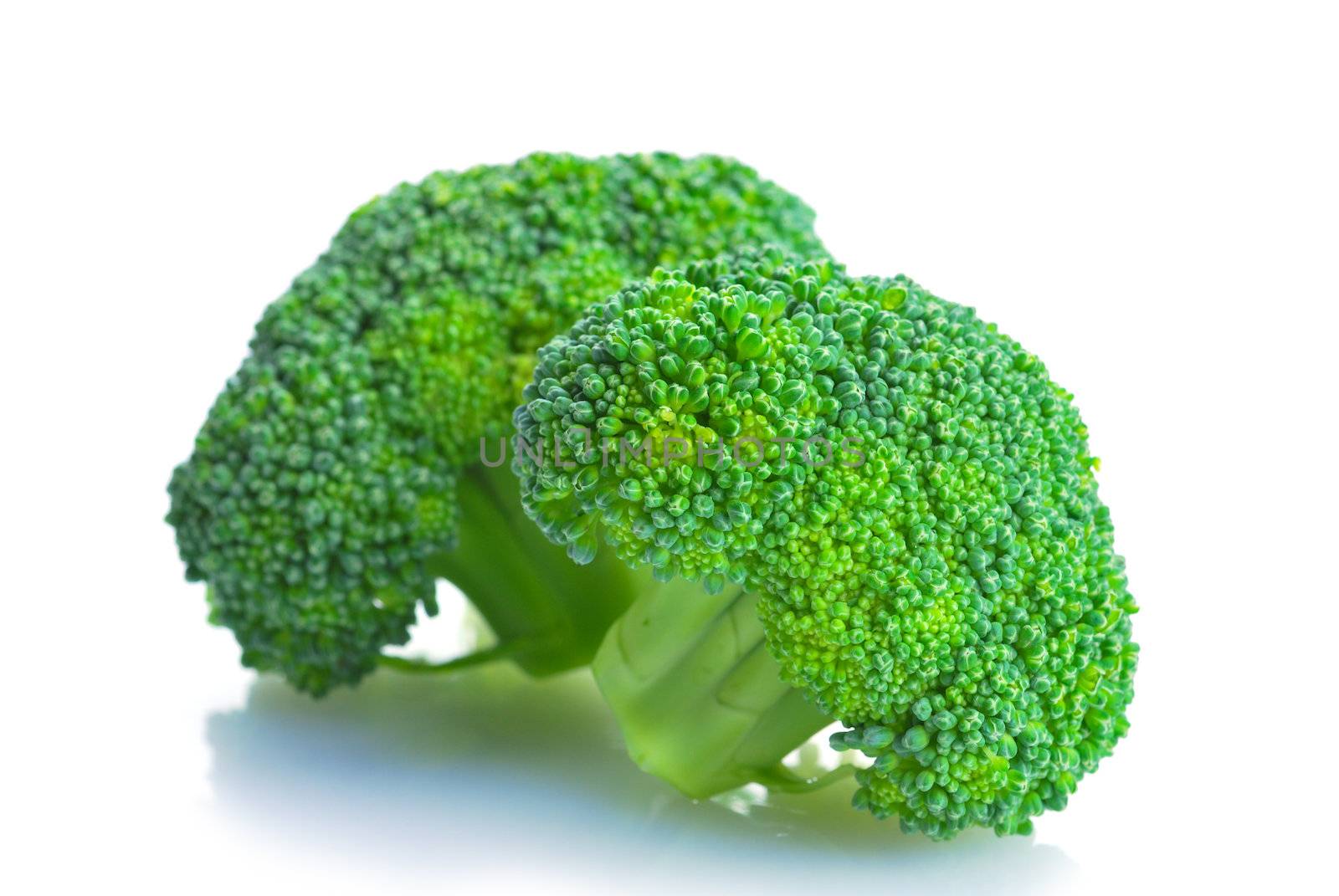 Broccoli vegetable by teen00000