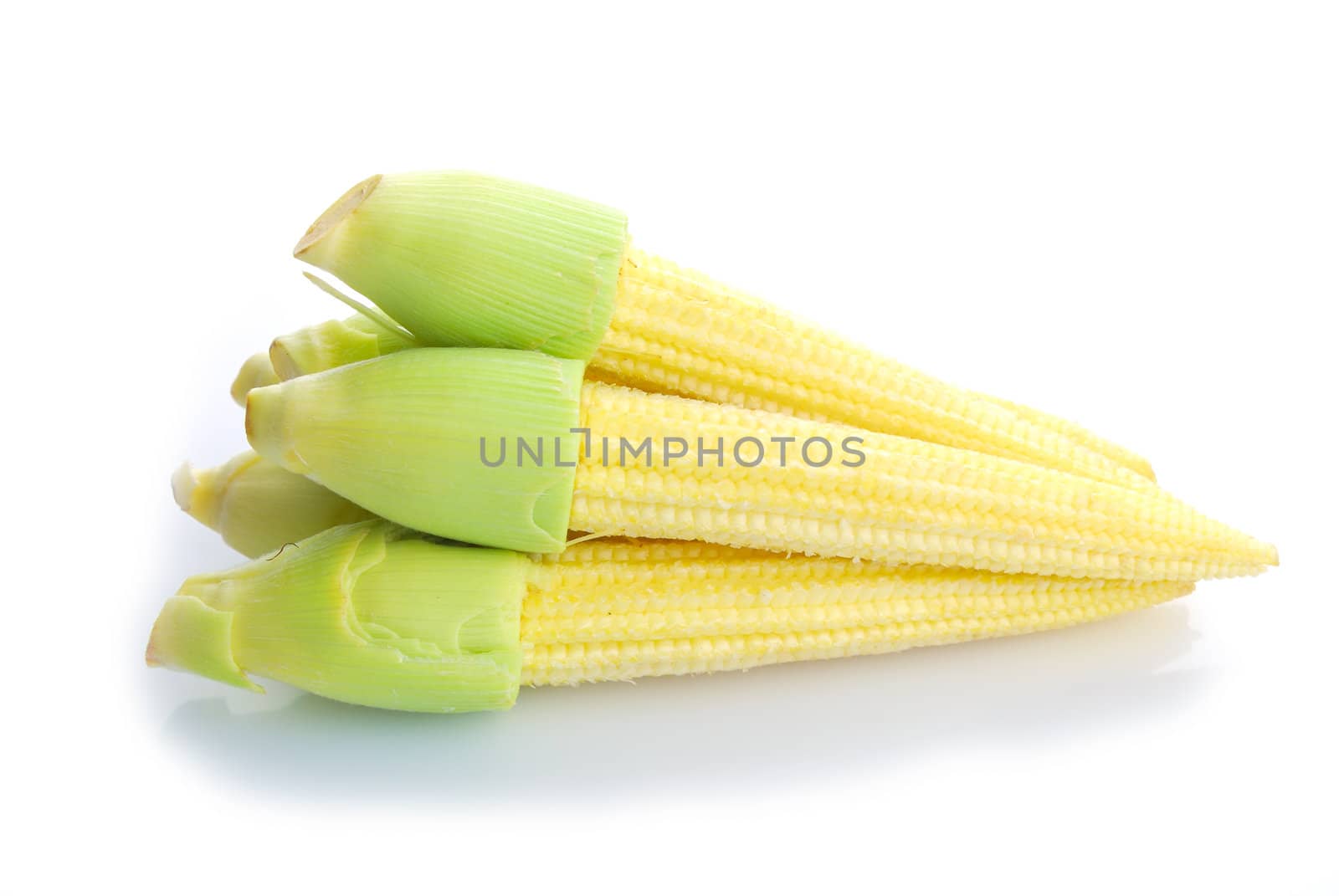 Baby corn or young corn