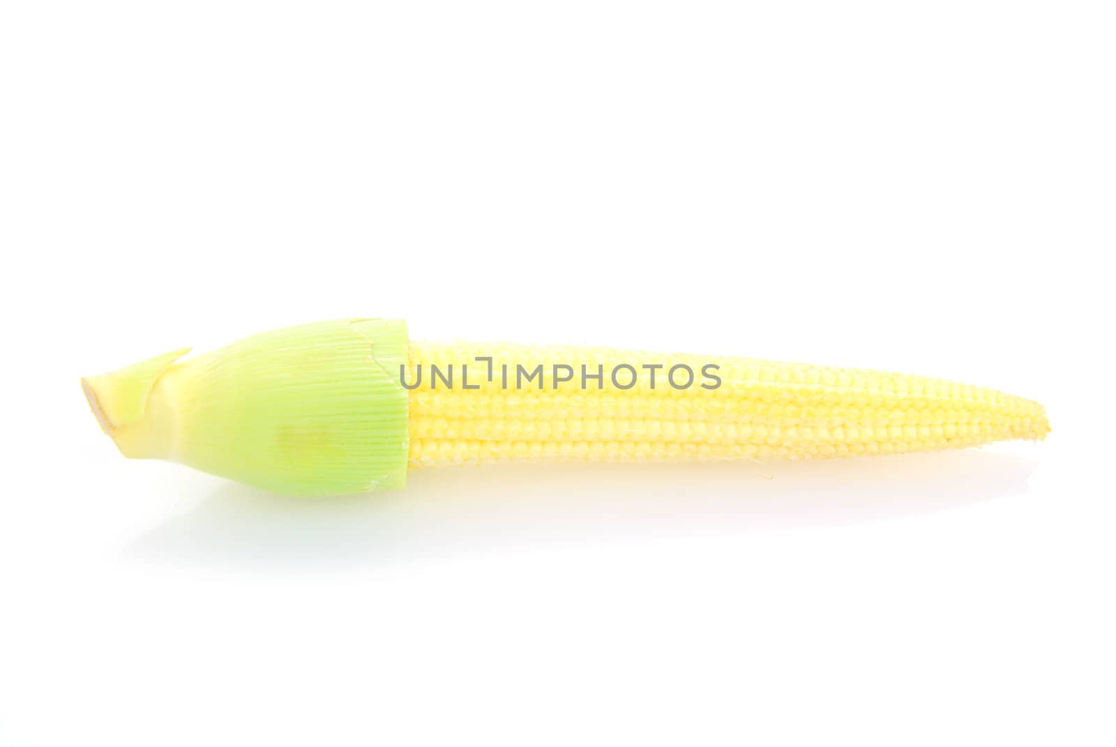 Baby corn or young corn