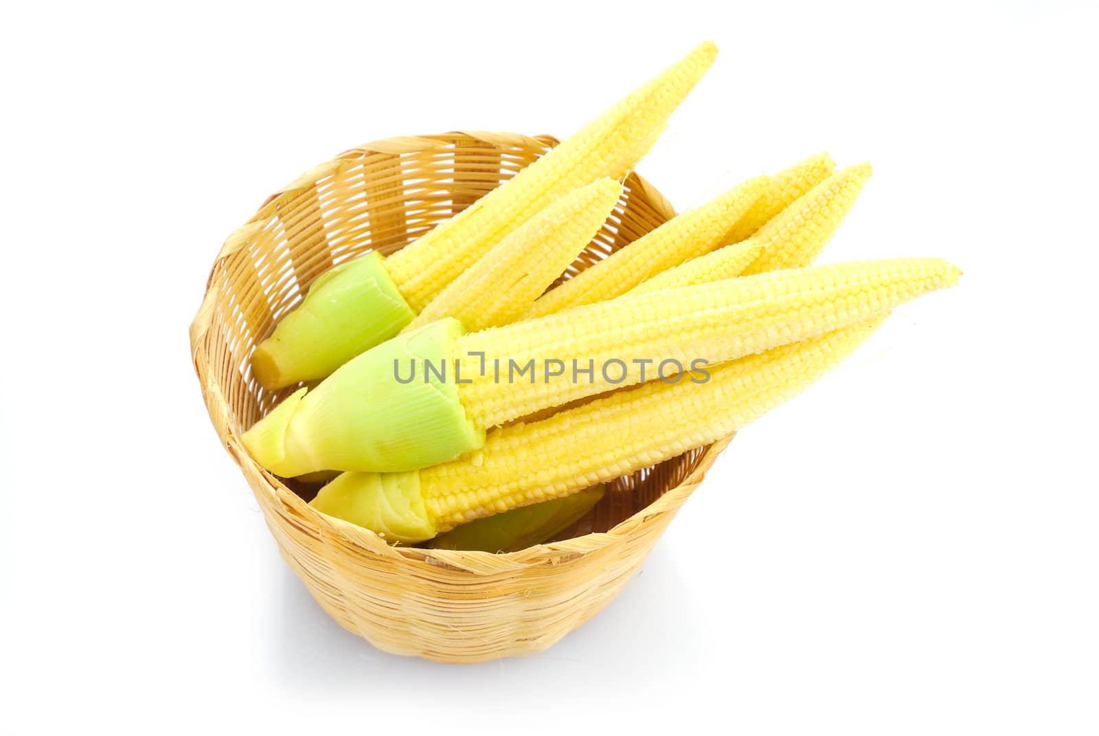 Baby corn or young corn by teen00000