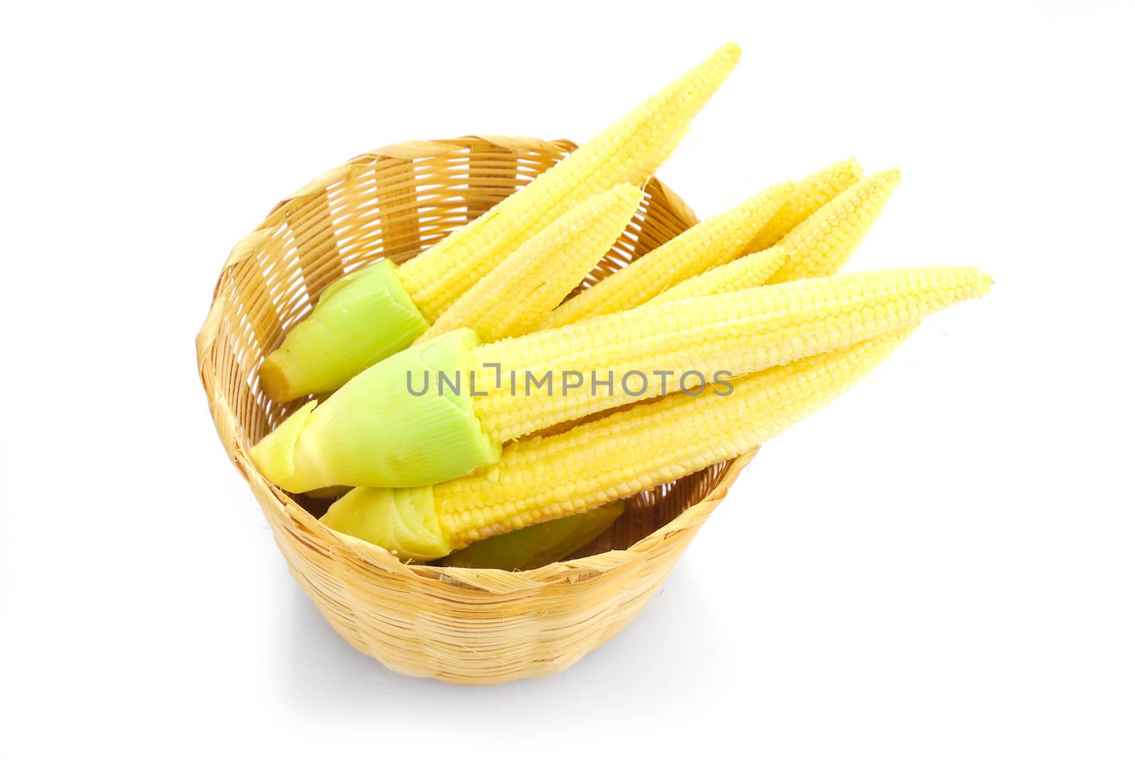 Baby corn or young corn