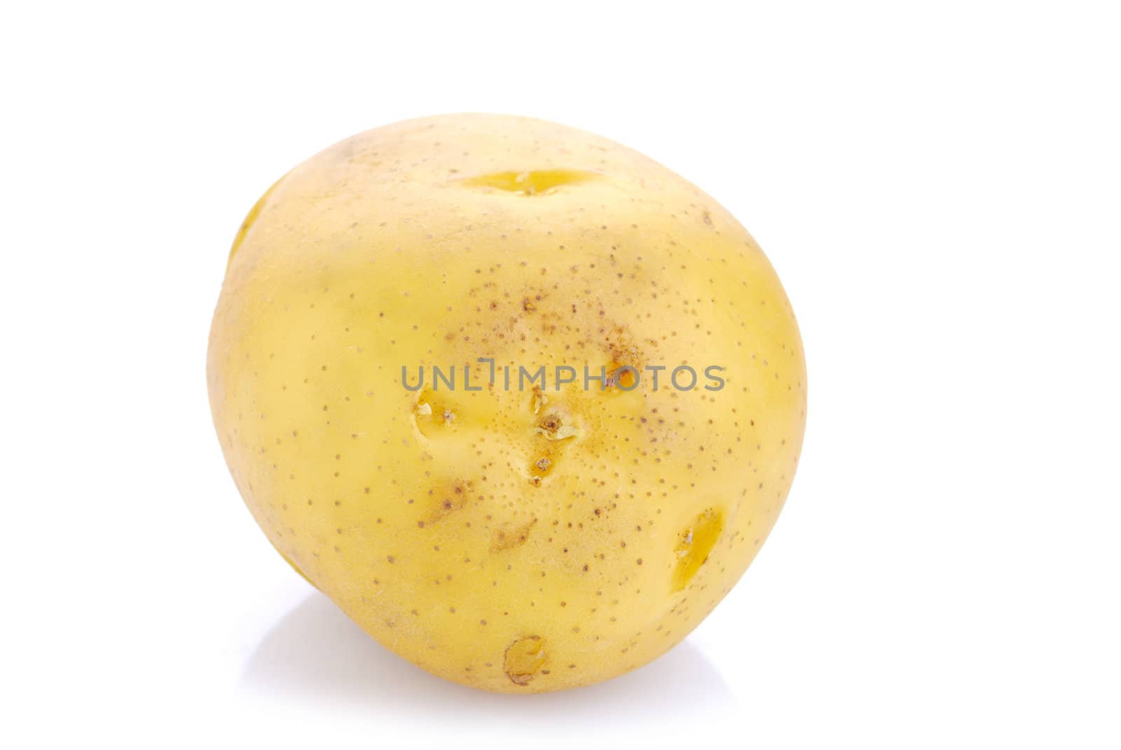 potato on white background