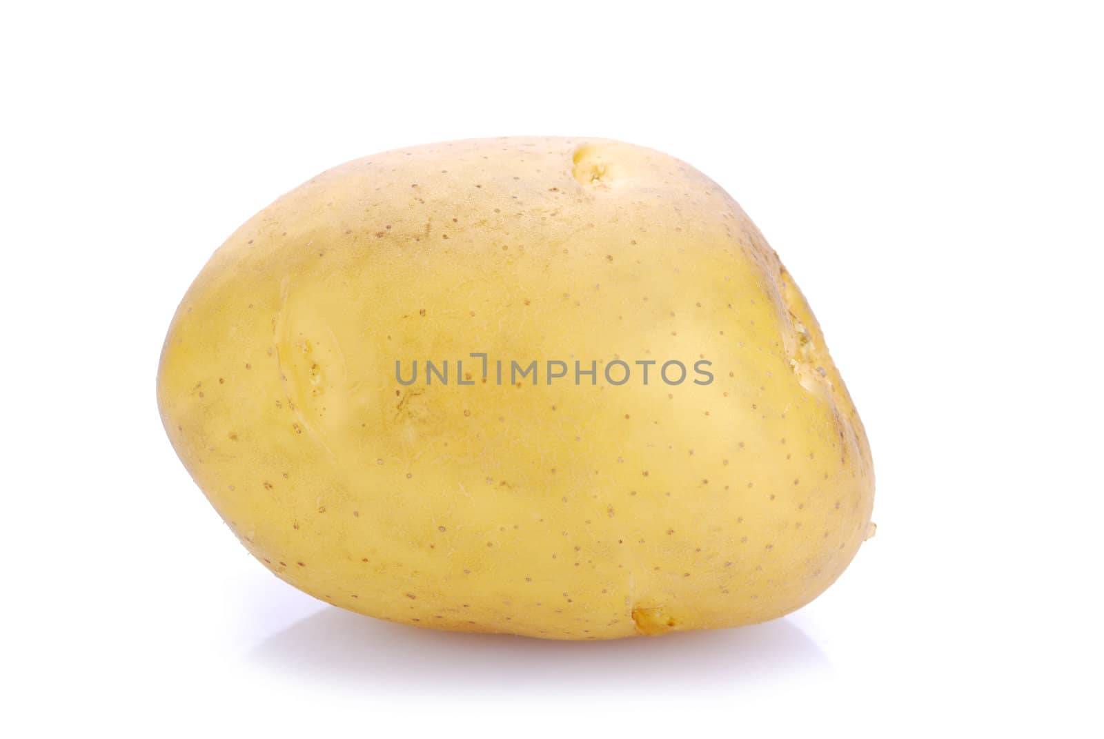 potato on white background