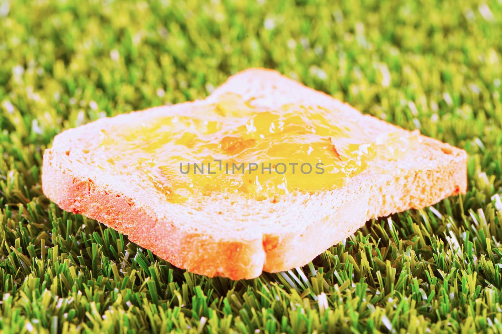 Toast with jam over a green grass field