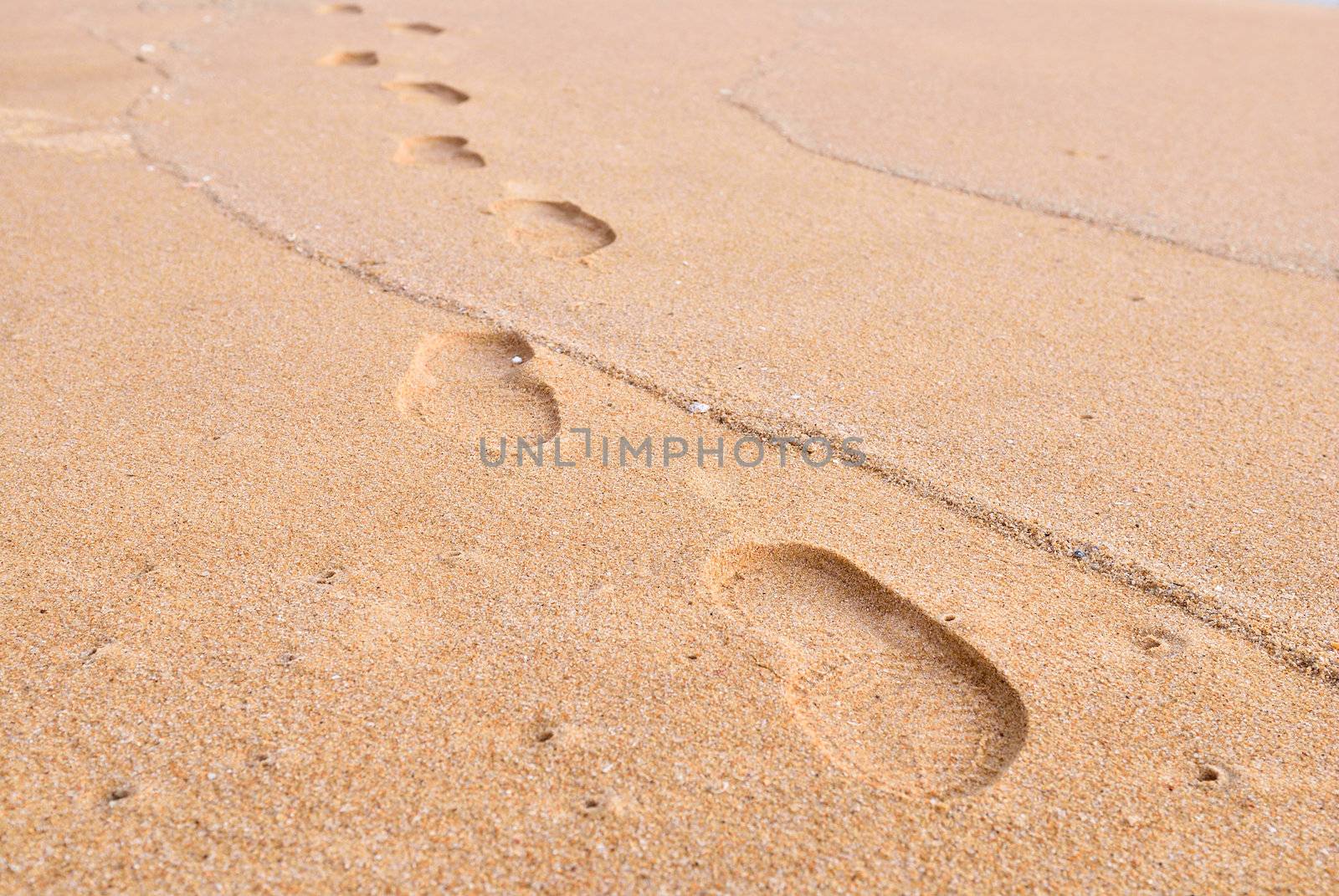 footprint on a sand