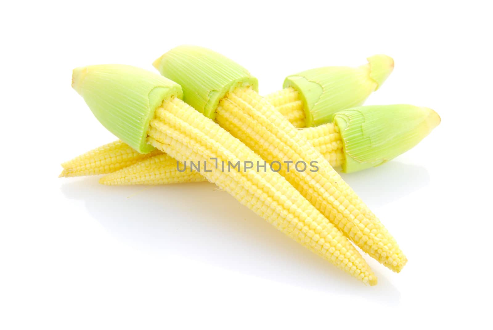 Baby corn or young corn