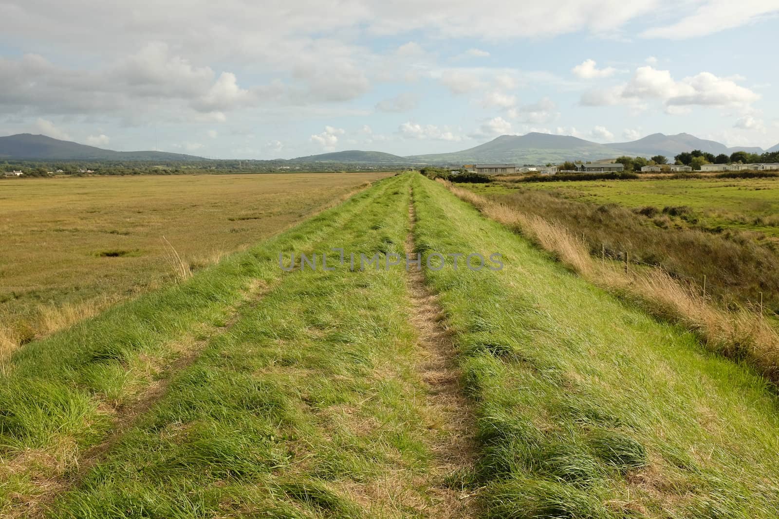Lush green grass and a track on a dyke running through marshland with a blue cloudy sky and mountains in the distance.