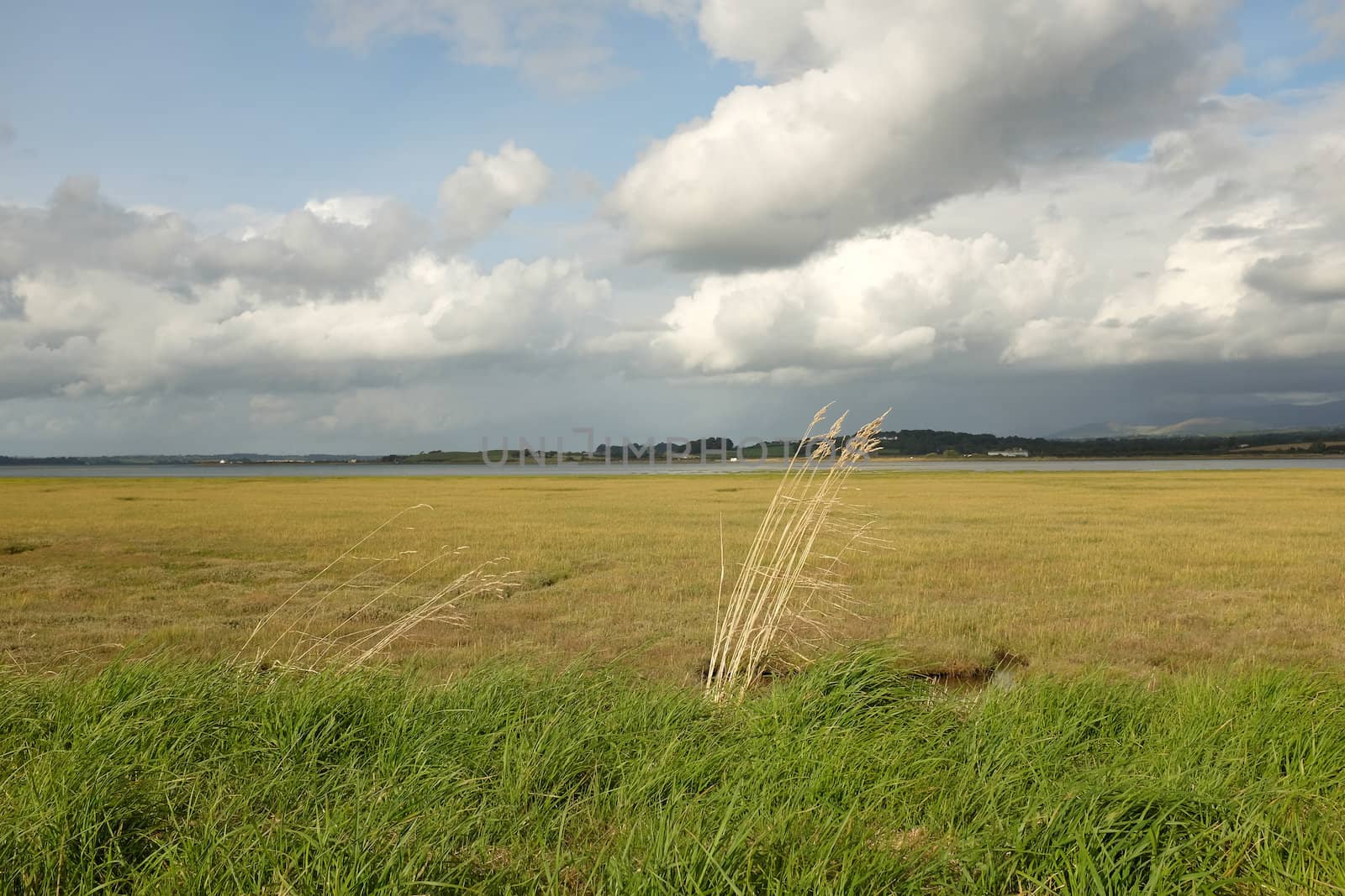 Foryd bay. by richsouthwales