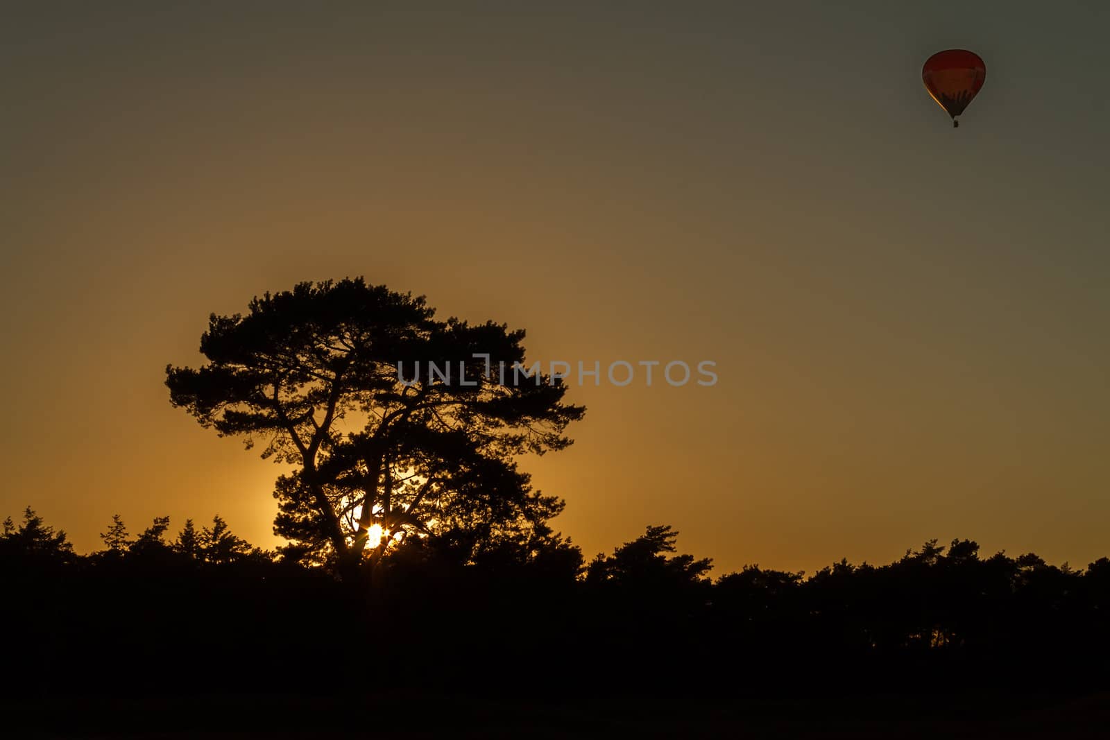 Air balloon in silhouette sunset by frankhoekzema