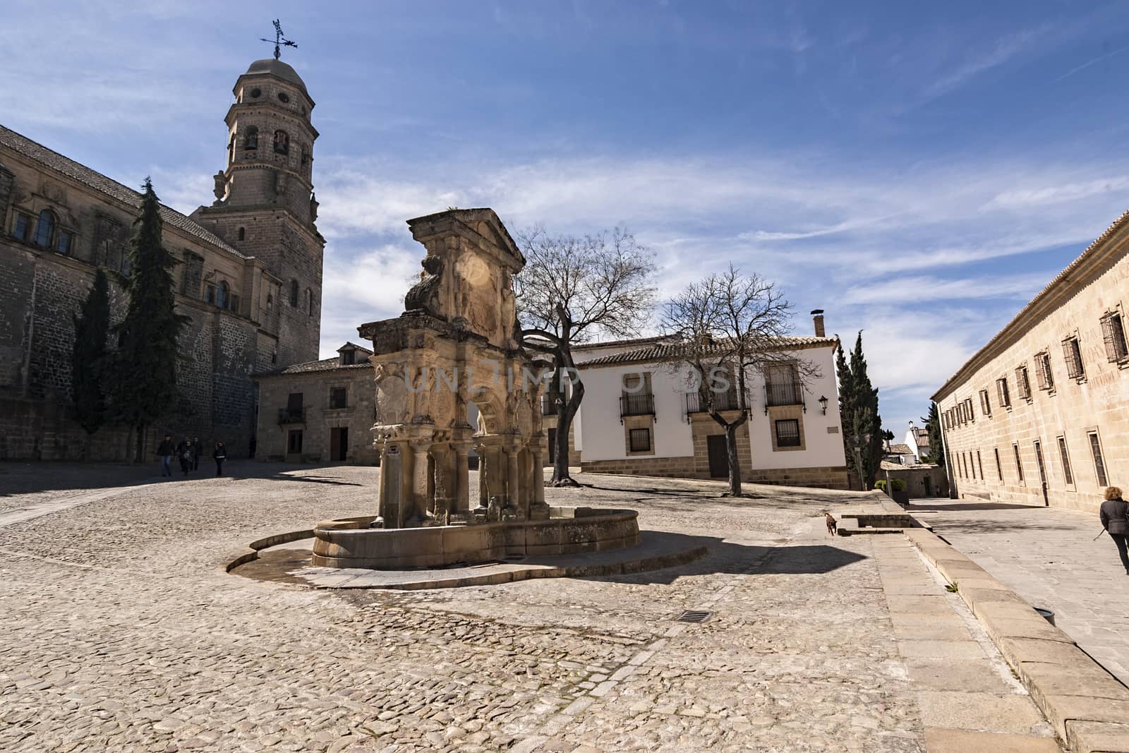 Baeza, Jaen province, SPAIN - 9 march 2014: Source of Santa Maria, World Heritage site, Baeza, Jaen province, Andalusia, Spain