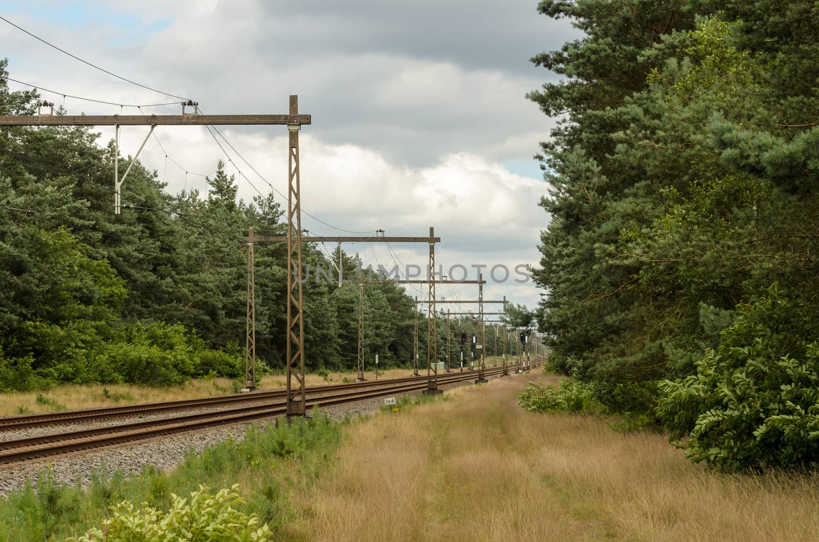 Dutch railroad through forest by frankhoekzema
