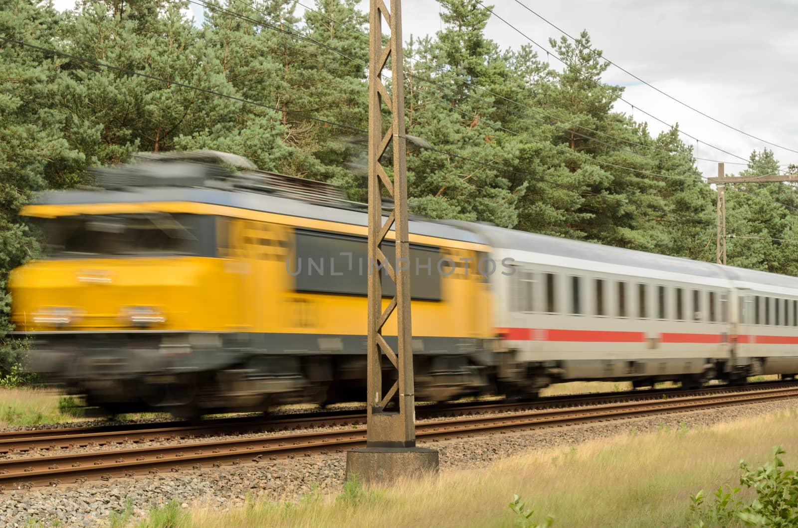 Passenger train races over dutch railway through forest.