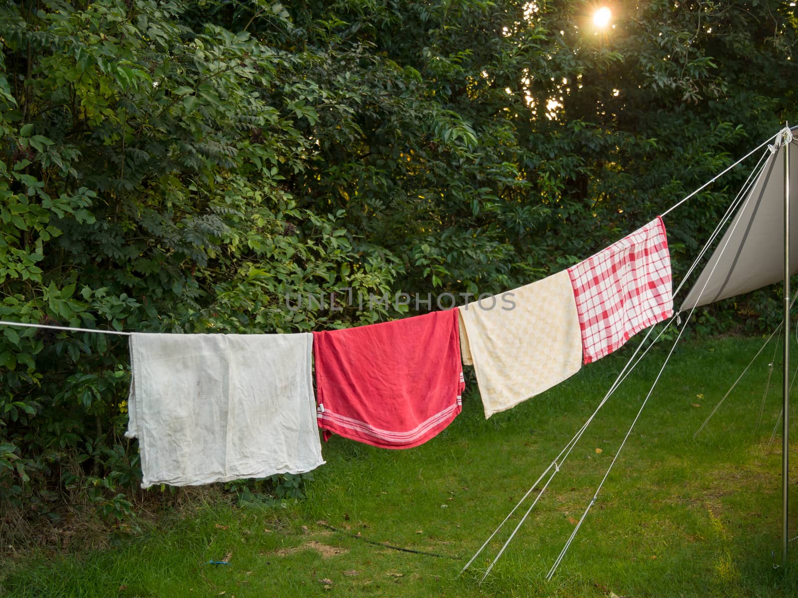 A line of towels hanging out to dry outside a tent on a summer evening