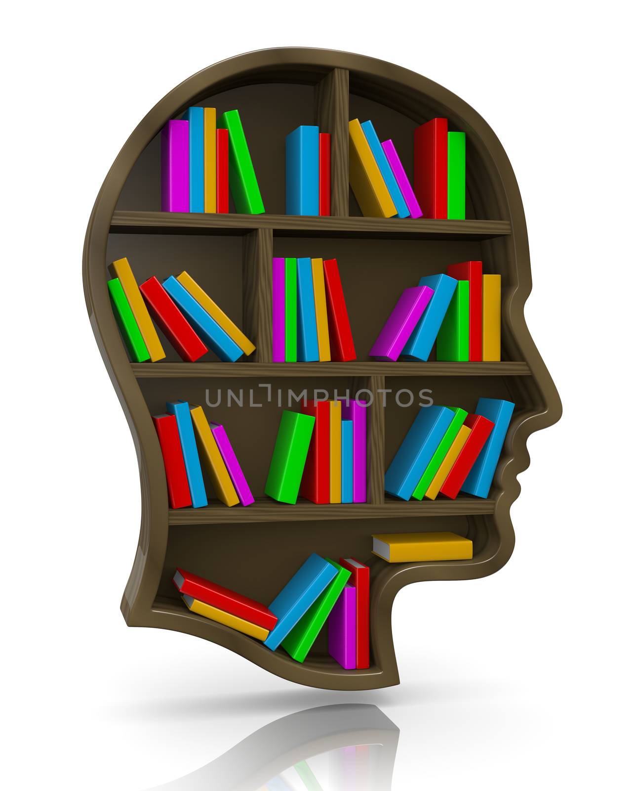 Wood Bookshelf in the Shape of Human Head Illustration, Wisdom Concept